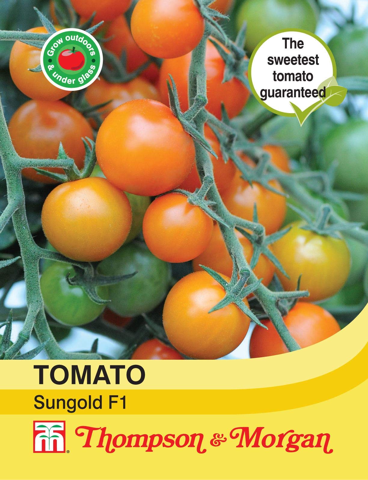 Thompson & MorganVegetables - Tomato Sungold F1 Hybrid - 8 Seed