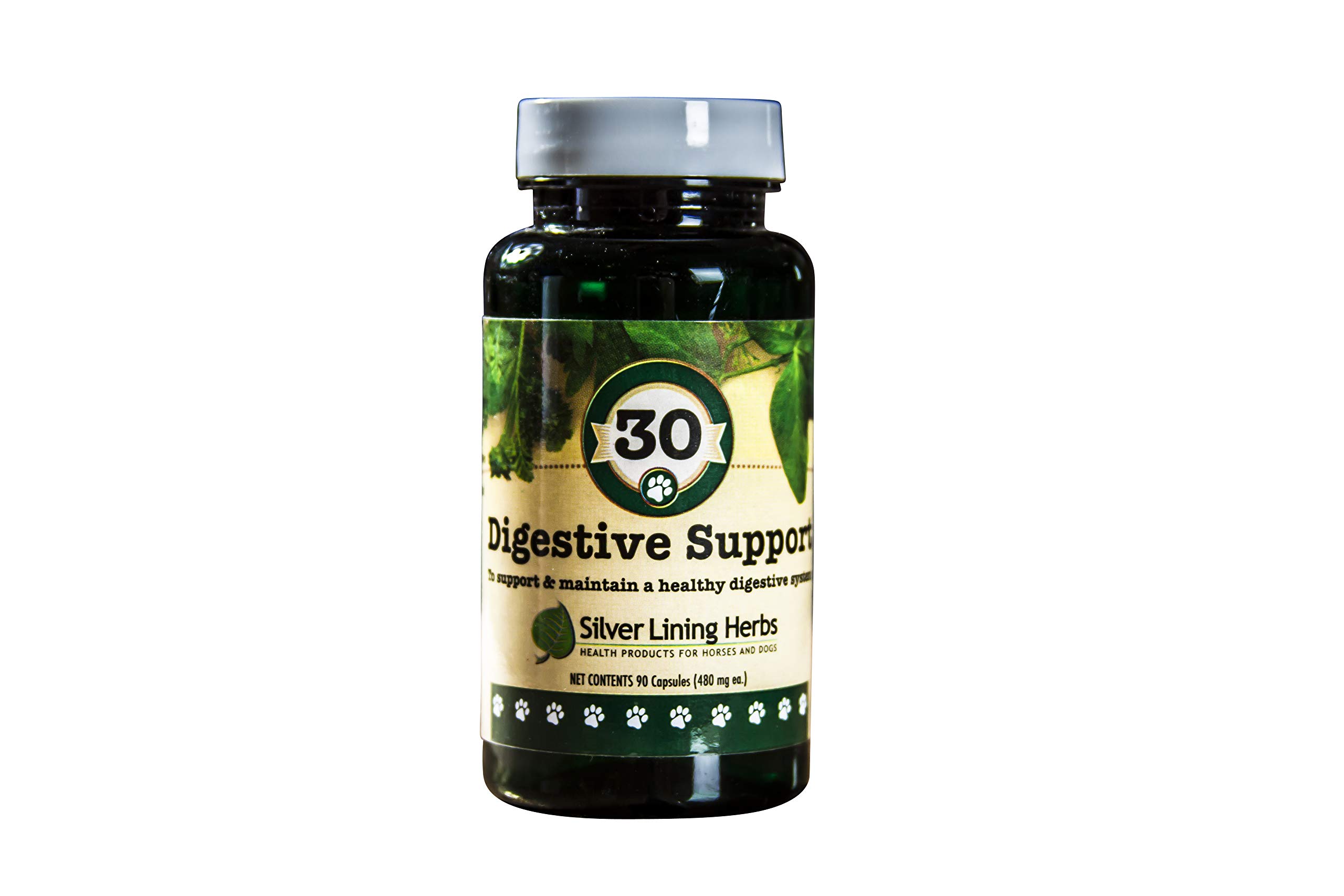 Silver Lining Herbs30 Canine Digestive Support - Herbal Canine Supplement to Maintain Normal Digestive Function - Dog Supplement May Help with Bloating & Intestinal Tract Health - 90 Capsules