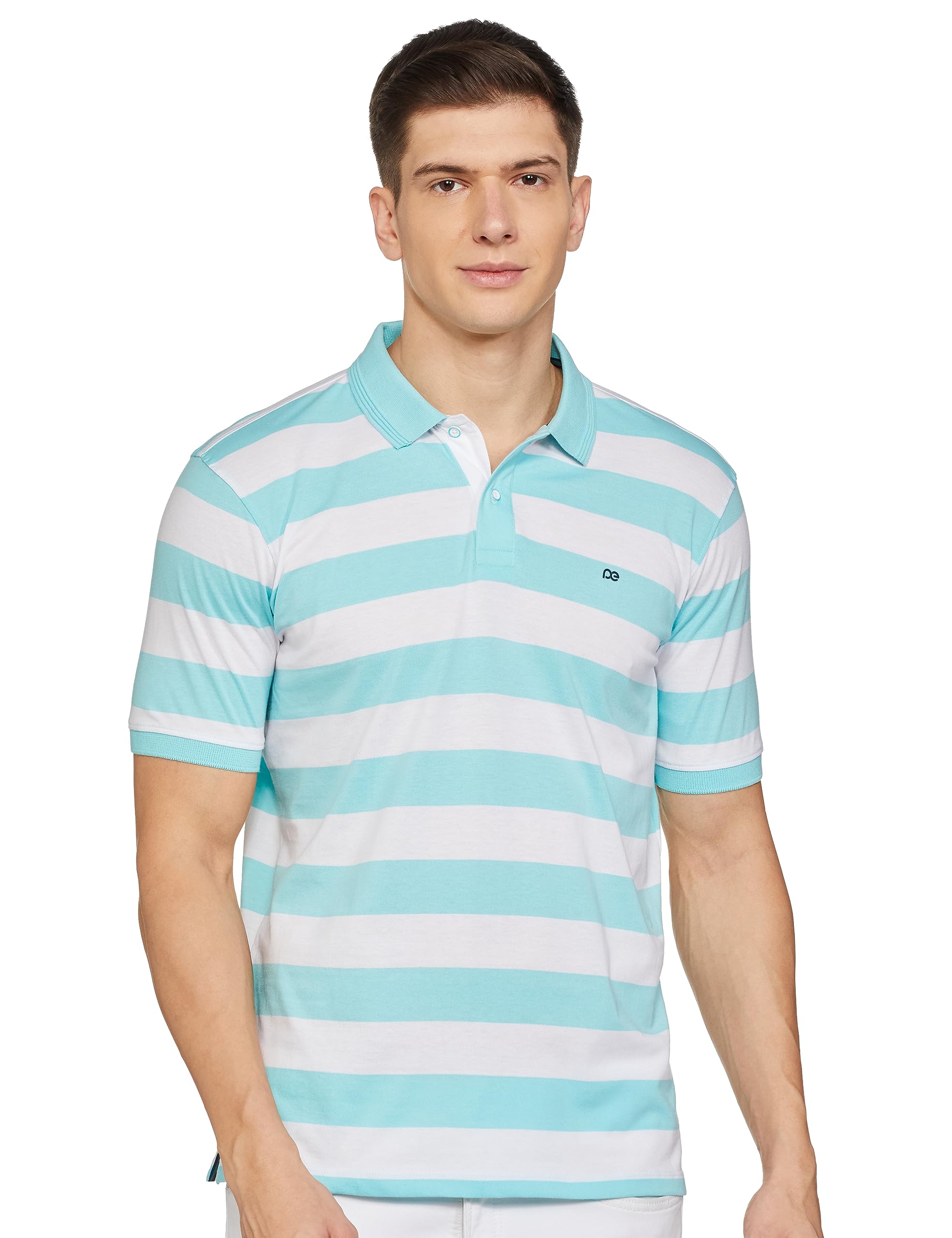 Peter EnglandMen's Regular Fit Polo Shirt (PCKPSRGF815354_Light Blue L)