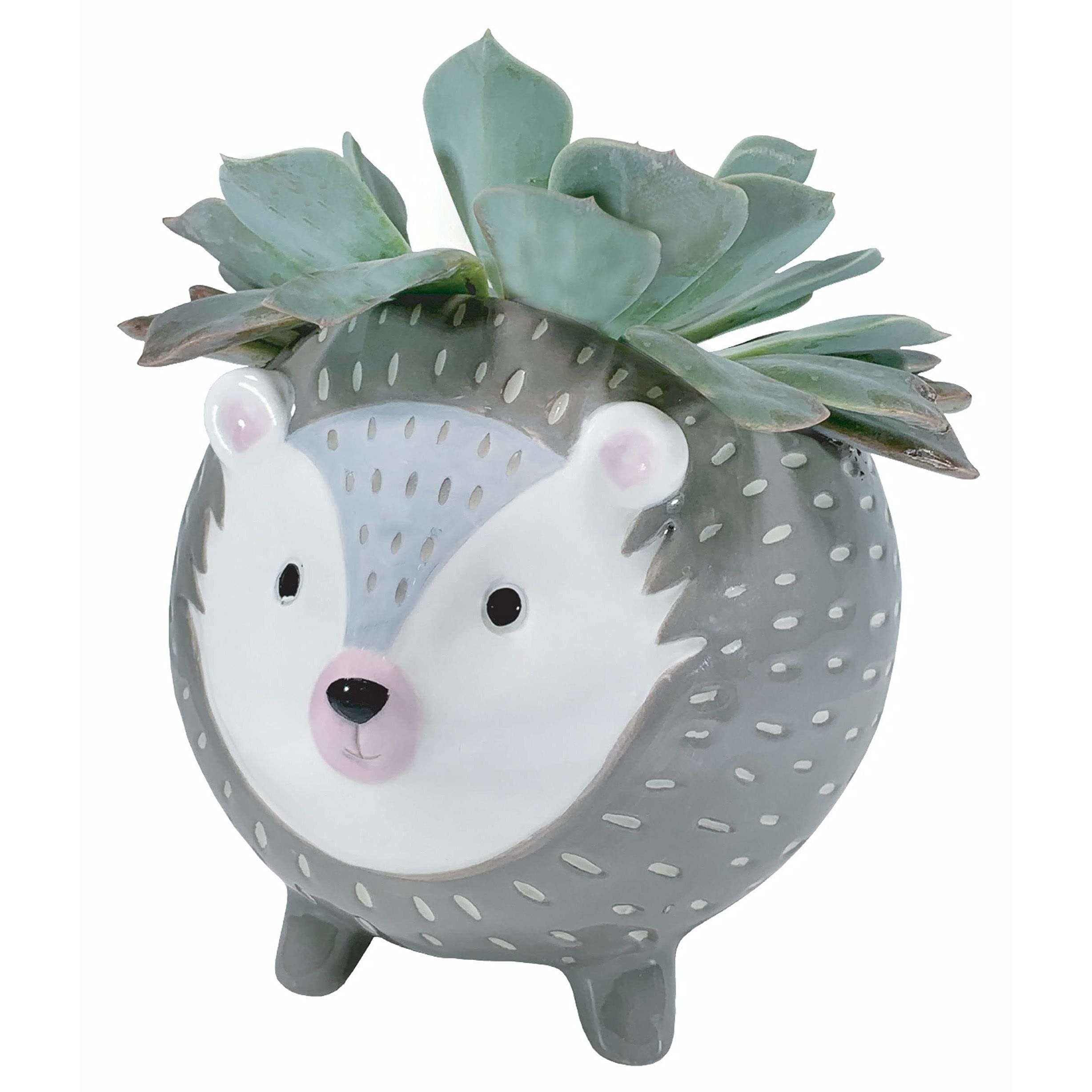 Streamline Imagined Hedgehog Planter