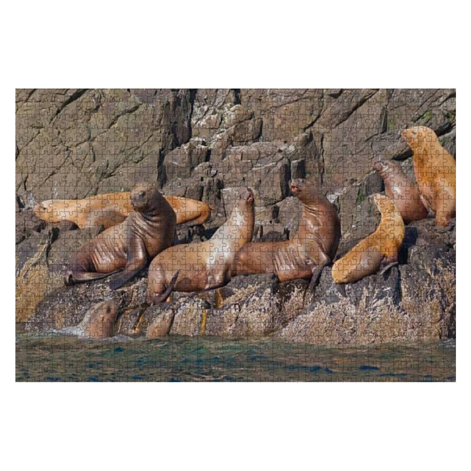 Steller sea lions 1000 Pieces Wooden Jigsaw Puzzles for Adults Decompression DIY Children Educational Puzzles Creative Games Toys Gift Home Decor