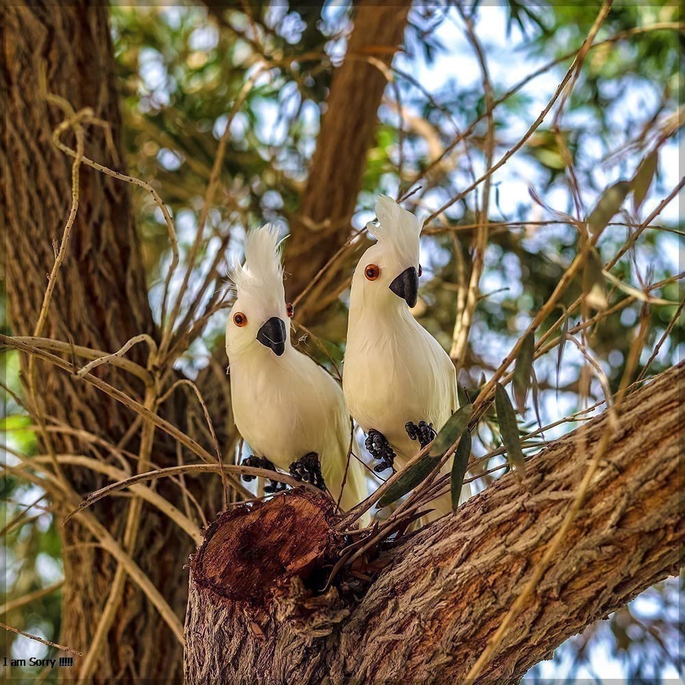 YATAI Parrot 2pcs Artificial Bird Model, Simulation Bird Unique with Resin Material for Living Room Garden, Balcony, Courtyard for Family (white)