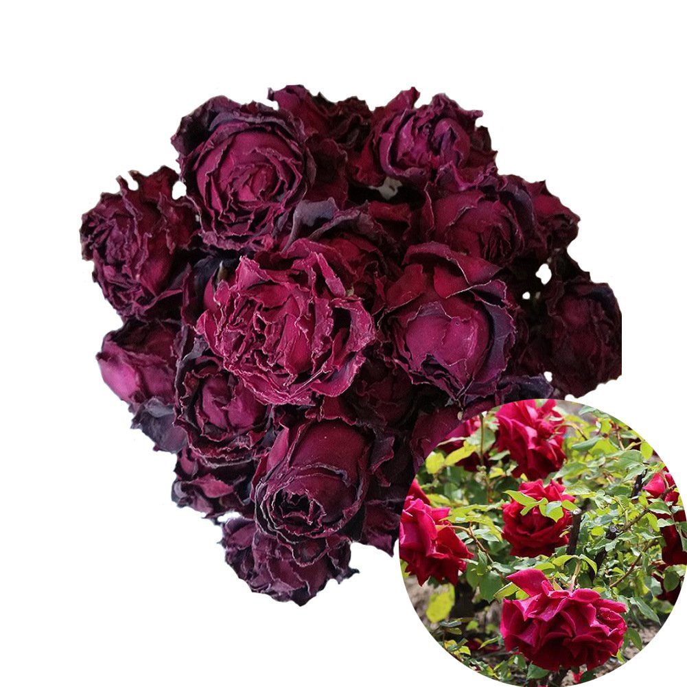 TooGet Fragrant Natural Deep Red Rose Buds Dark Rose Flowers Organic Dried Flower Tea,Herbal Tea, Culinary Food Grade - 2 OZ