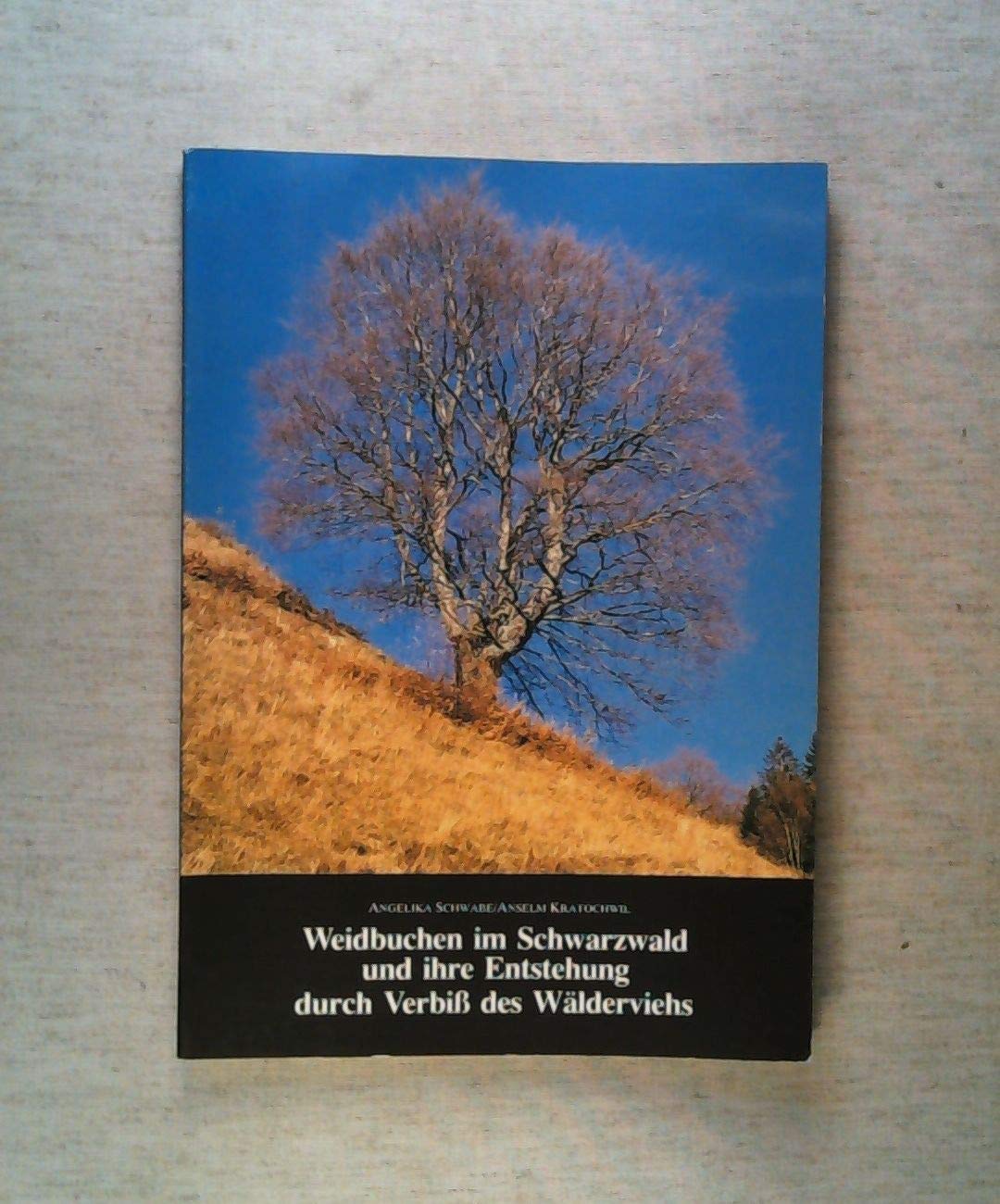 Weidbuchen im Schwarzwald und ihre Entstehung durch Verbiss des Wa¨lderviehs: Verbreitung, Geschichte und Mo¨glichkeiten der Verju¨ngung (Beihefte zu ... in Baden-Wu¨rttemberg) (German Edition)