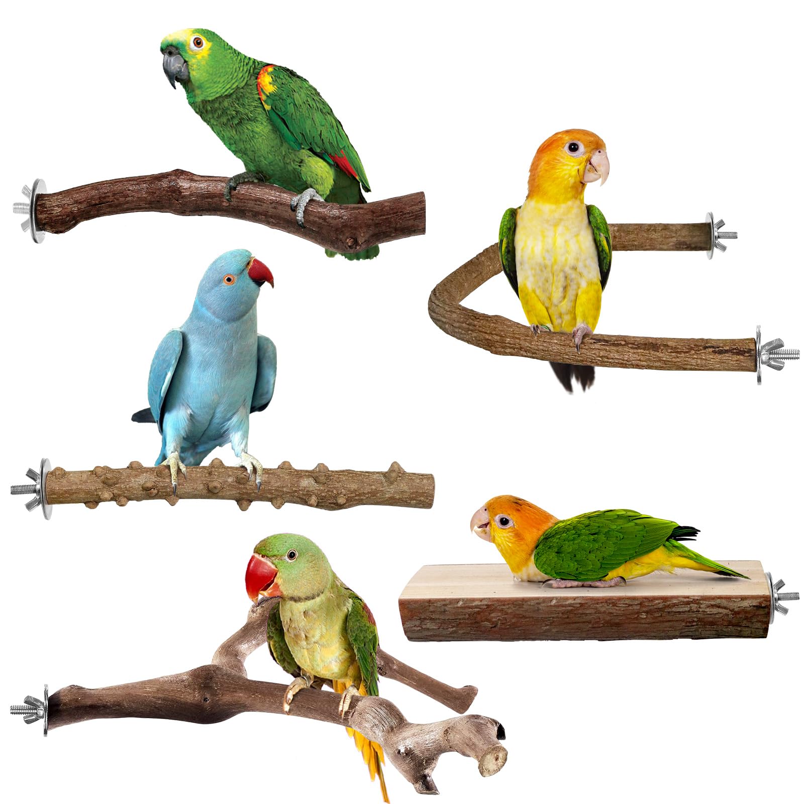 Bird Perch 5 PCS Natural Wood Perches for Medium-sized Parrots, Bird Perches for Cage, Birdcage Accessories for Ringneck Parrot Caique Parrot Parrotlets Cockatiels Parakeets