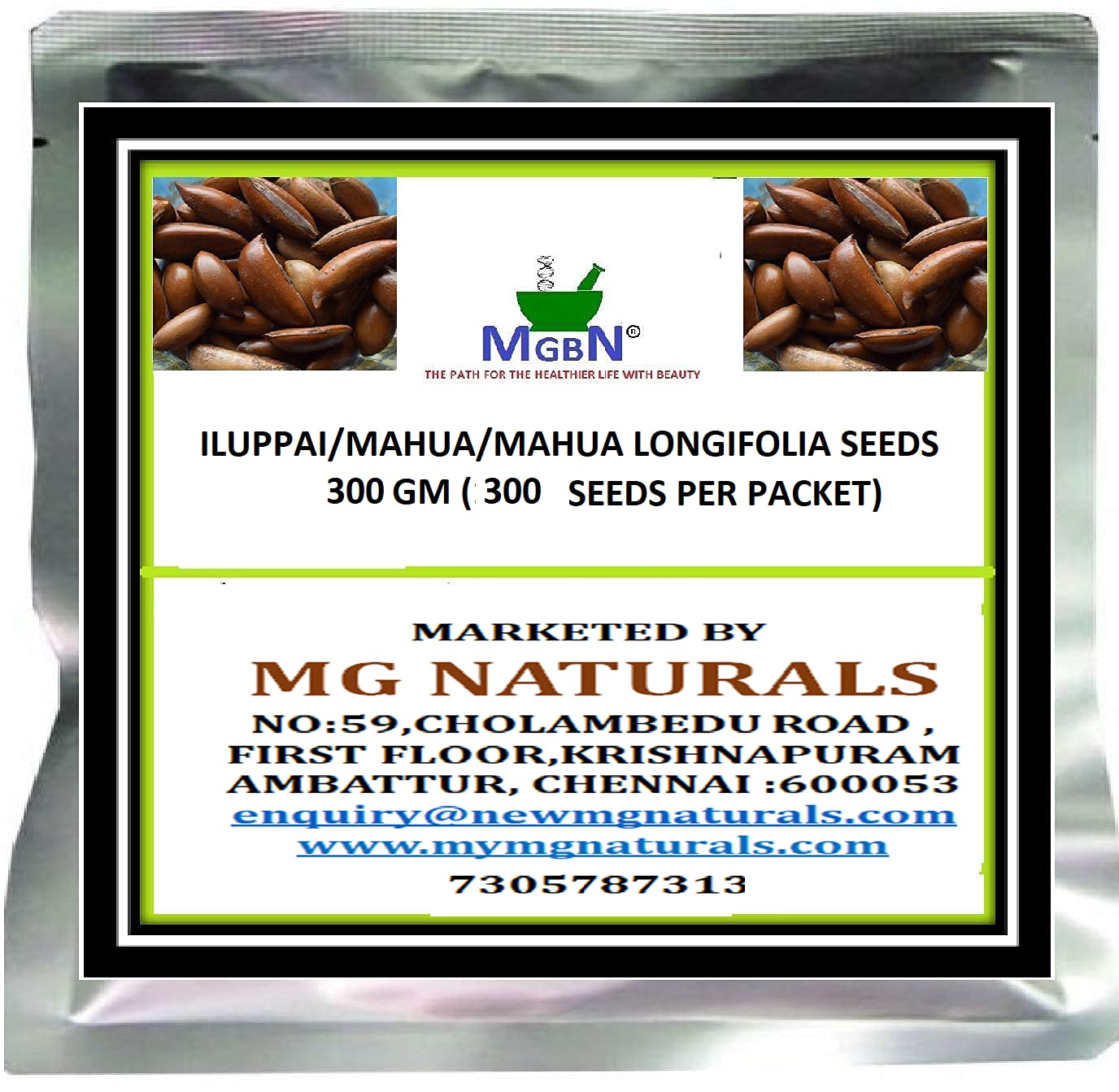 ILUPPAI/MAHUA/MAHUA LONGIFOLIA SEEDS 300 GM (300 SEEDS PER PACKET)