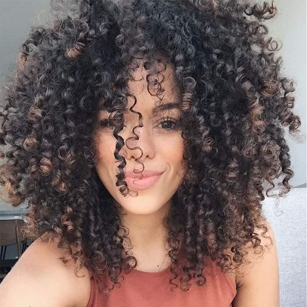 CPalsen Synthetic Wig Curly Style Side Part Capless Wig Black Black/Brown Synthetic Hair 16 inch Women's Natural Hairline Black/Brown Wig Medium Length MAYSU/Yes