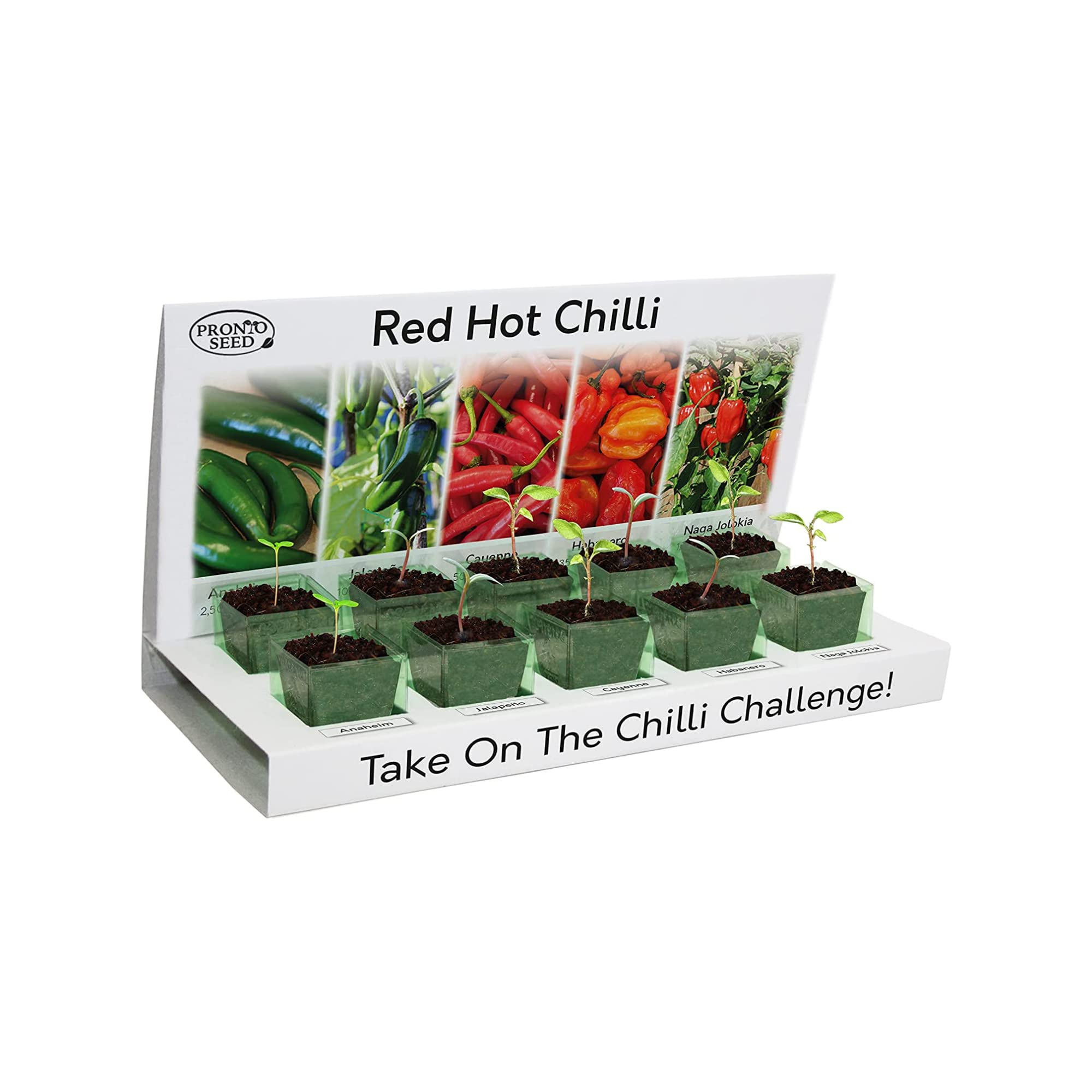 pronto seedGrow Your Own Chilli Plant Kit with 5 Seeds Varieties - Indoor Growing Set with Sustainable Packaging Display - Gift for Women, Men - Beginner-Friendly (Chilli Kit)