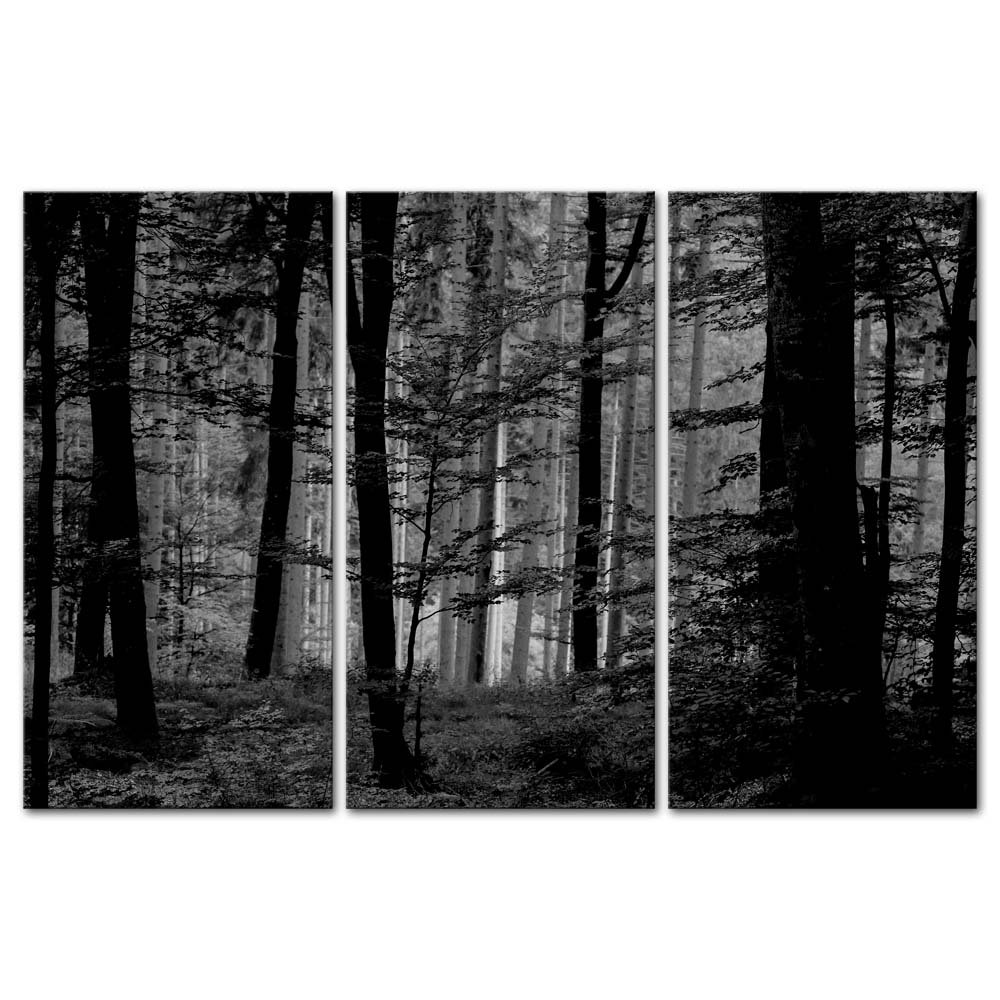 So Crazy Art- Black and White Wall Art Decor Lush Wood Forest Canvas Pictures Artwork 3 Panel Nature Landscape Painting Prints for Home Living Dining Room Kitchen