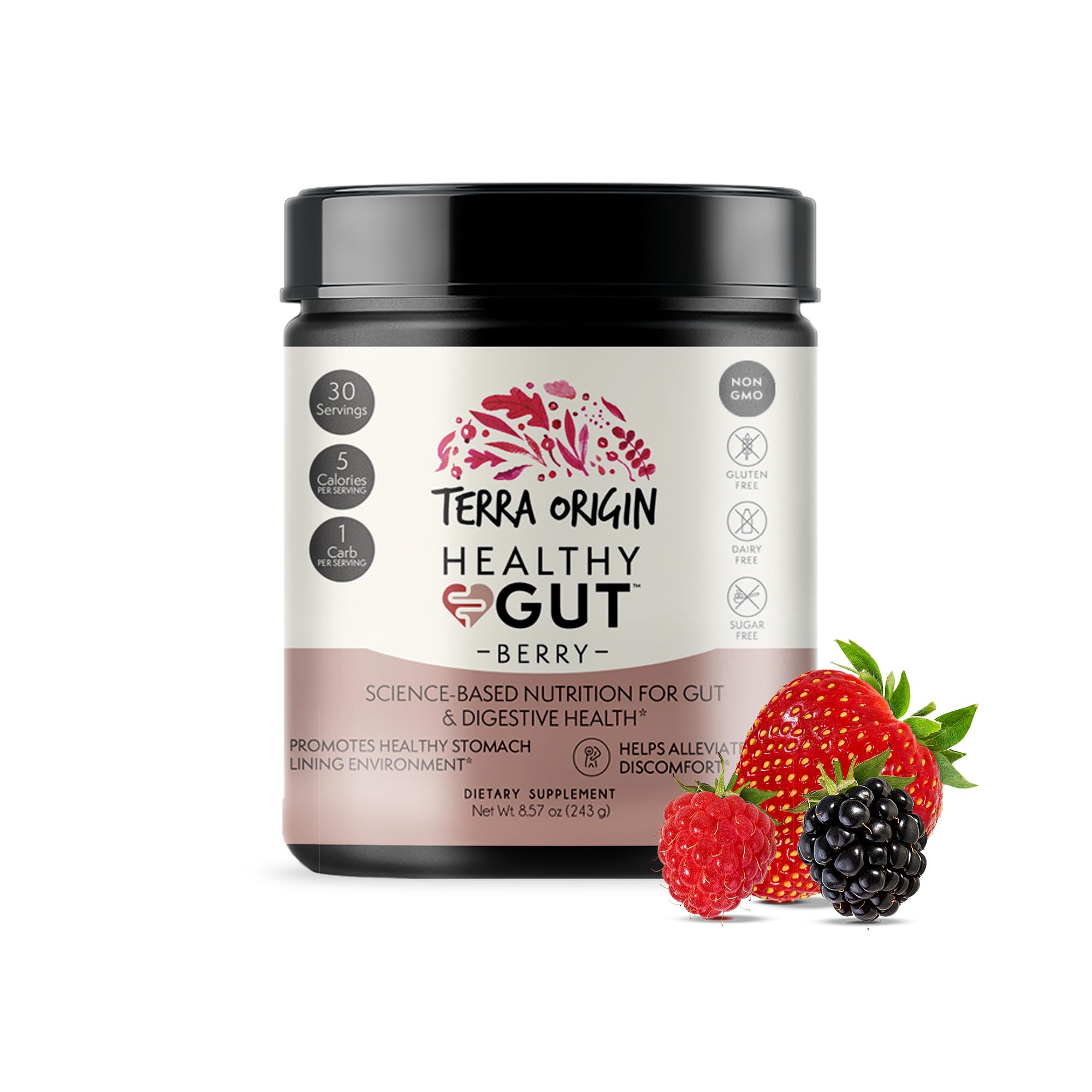 Terra Origin, Healthy Gut, Berry, 8.57 oz (243 g)