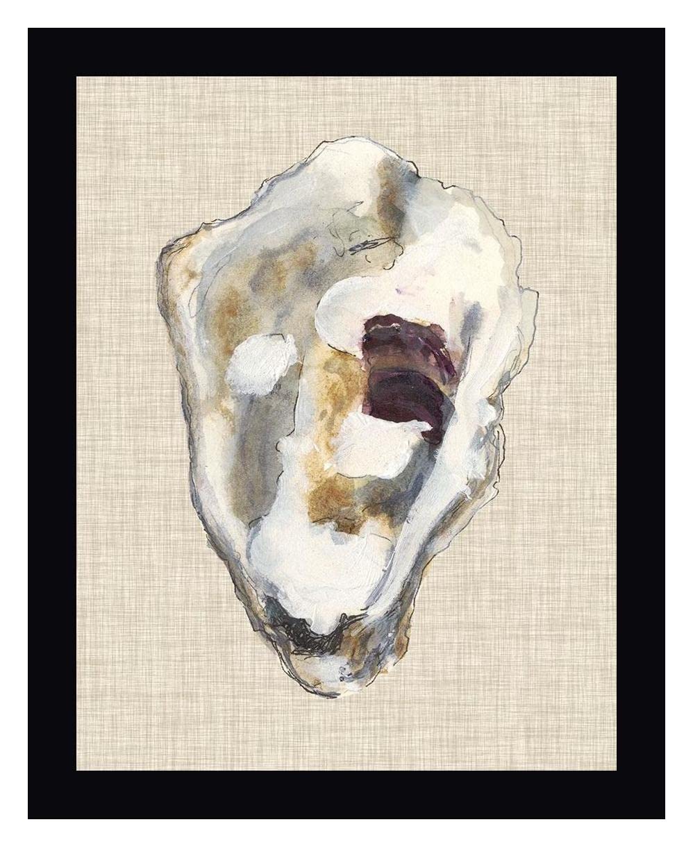 Oyster Shell Study II by Michael Willett - 29" x 36" Framed Canvas Art Print - Black Frame - Ready to Hang