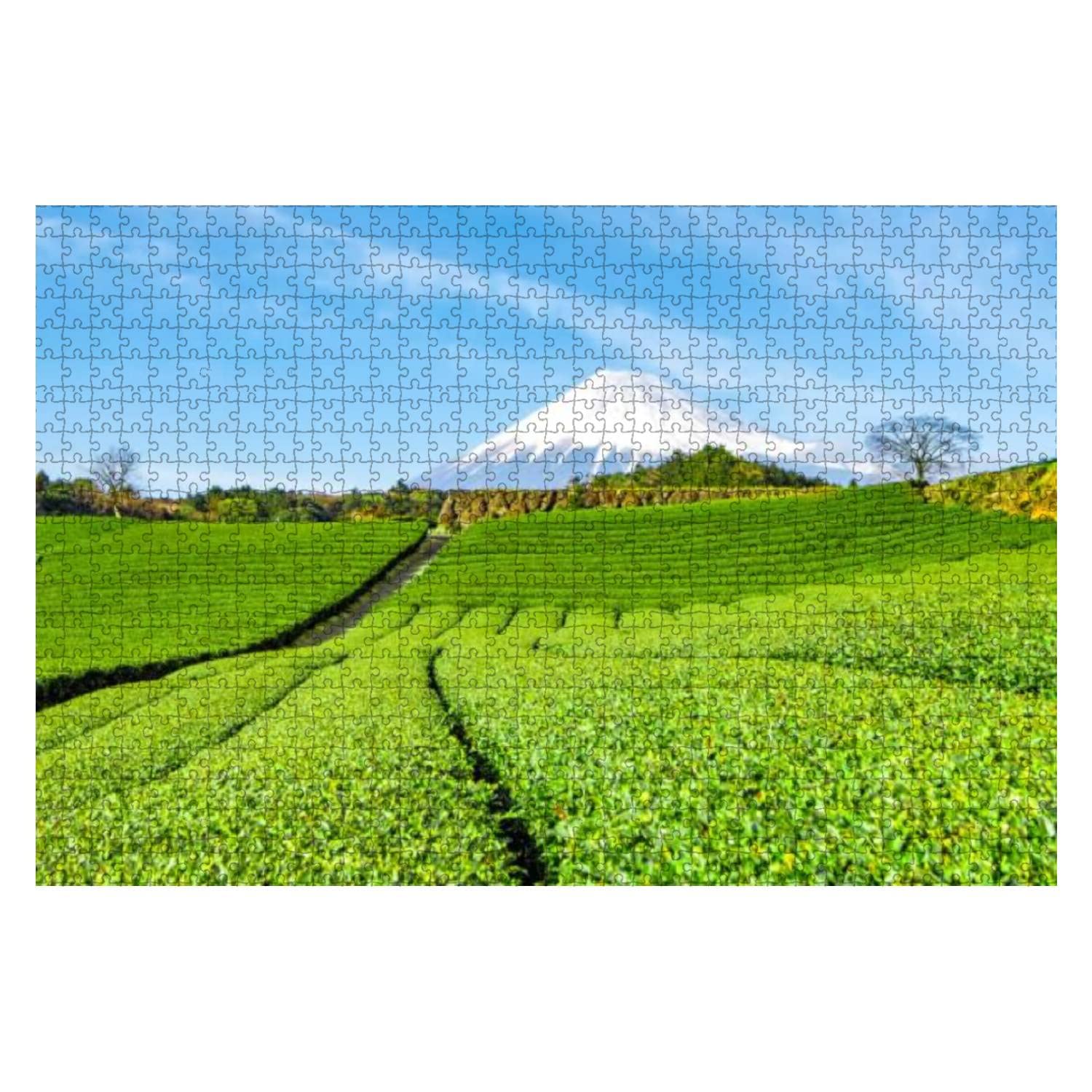 Mountain Green Tea Plantation at Fujinomiya Shizuoka Japan 1000 Pieces Wooden Jigsaw Puzzles for Adults Decompression DIY Children Educational Puzzles Creative Games Toys Gift Home Decor