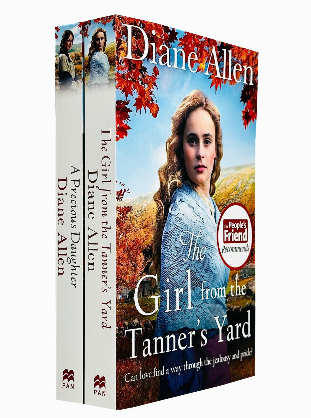 Diane Allen Collection 2 Books Set (A Precious Daughter & The Girl from the Tanner's Yard)