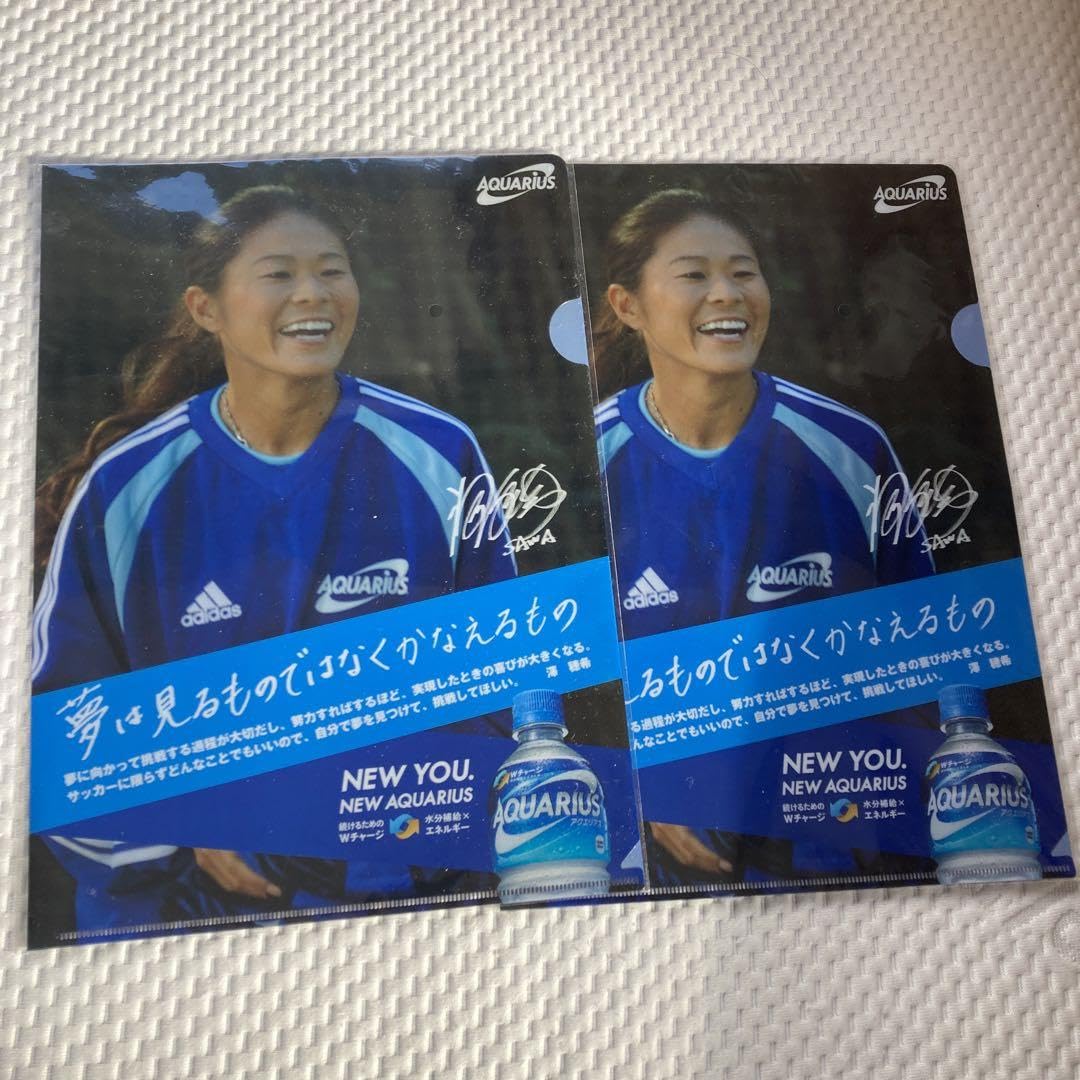 Sawa Hoki Clear File Set of 2