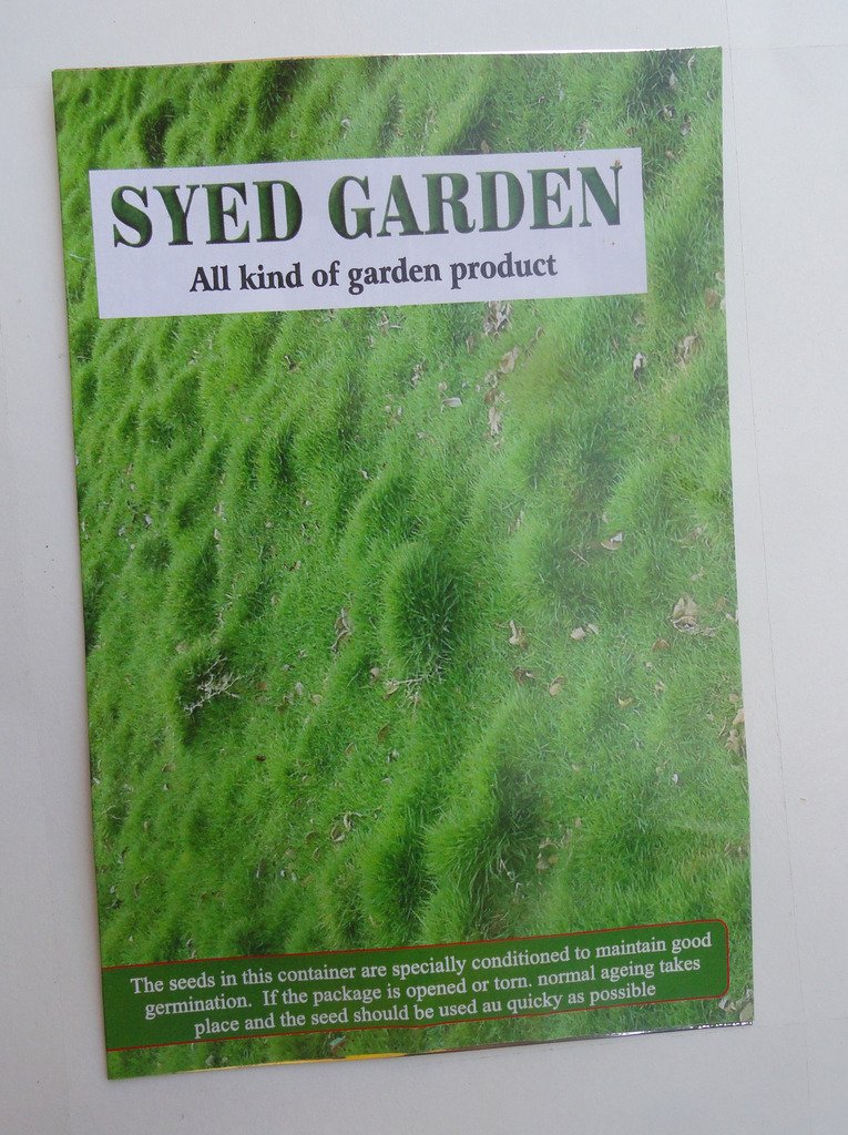 Syed Garden Carpet Grass Seed 2000 Seed Pack