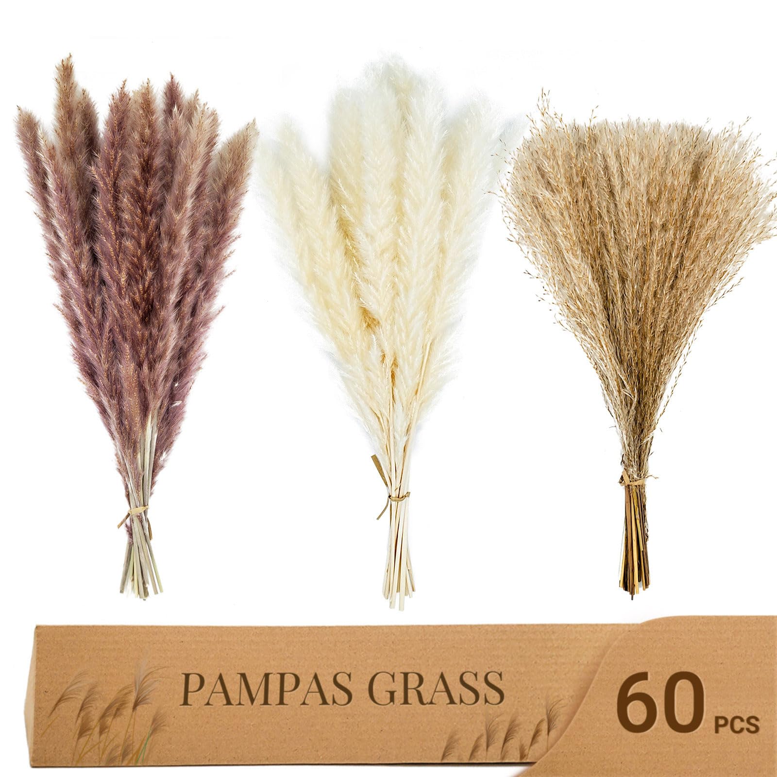 Beau Jour 60 pcs Natural Dried Pampas Grass - 15Pcs Brown Pampas & 15Pcs White Pampas & 30Pcs Reed Grass Fluffy Dried Flowers for Home Decor Wedding Boho Decor