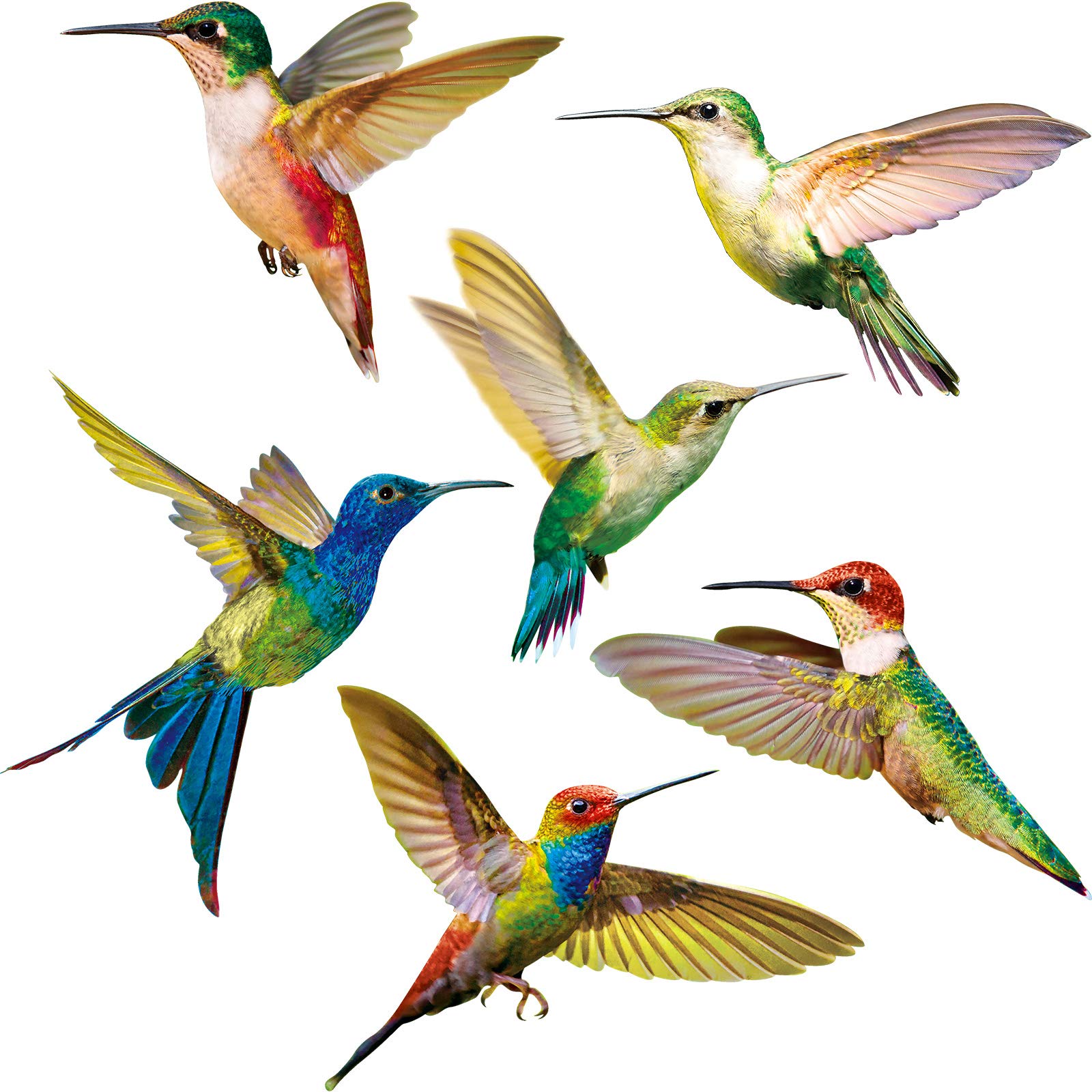 Blulu GMSD Hummingbird Window Clings Anti-Collision Window Clings Decals to Prevent Bird Strikes on Window Glass Non Adhesive Vinyl Cling Hummingbird Stickers (6 Pieces)