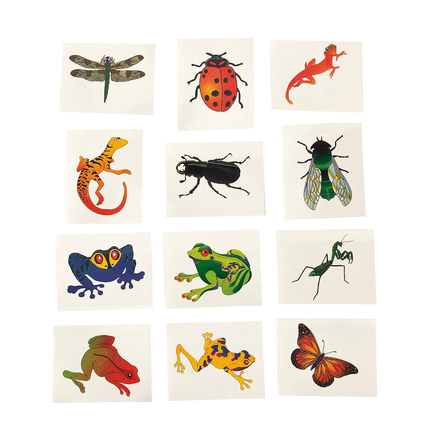 Fun Express - Insect & Reptile Tattoos (6dz) - Apparel Accessories - Temporary Tattoos - Regular Tattoos - 72 Pieces