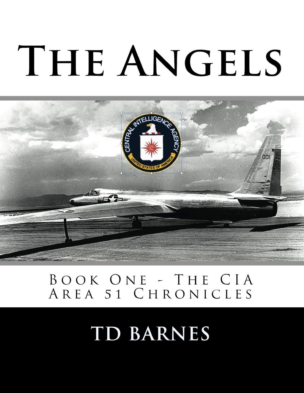 The Angels: Book One - The CIA Area 51 Chronicles