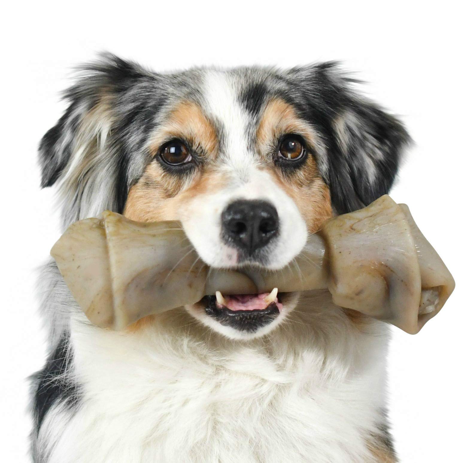 Pet Qwerks Nylon Rawhide BarkBone - Durable Dog Toys for Moderate & Aggressive Chewers - Infused Bacon Flavor - 6"