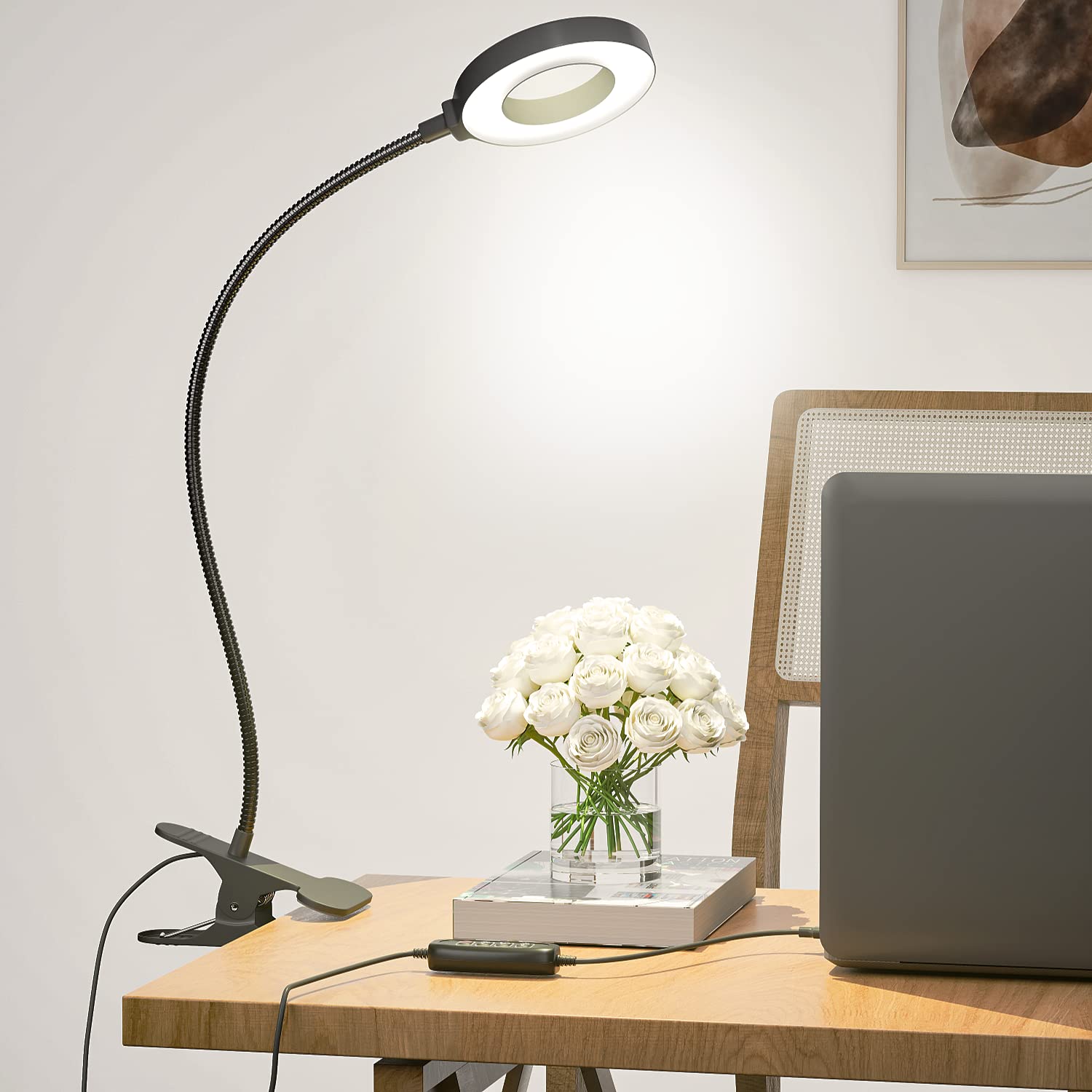 Juhefa Clip on Light, USB Powered LED Desk Lamp with Gooseneck for Reading in Bed, Headboard, Office, Makeup, 10-Level Dimmable, 3 Colors Changable (with Adapter)