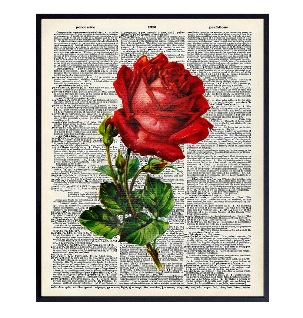 Red Rose Wall Art Print on Dictionary Photo - Vintage Ready to Frame (8x10) Photo - Makes a Perfect Gift for Steampunk Fans - Great for Home Decor