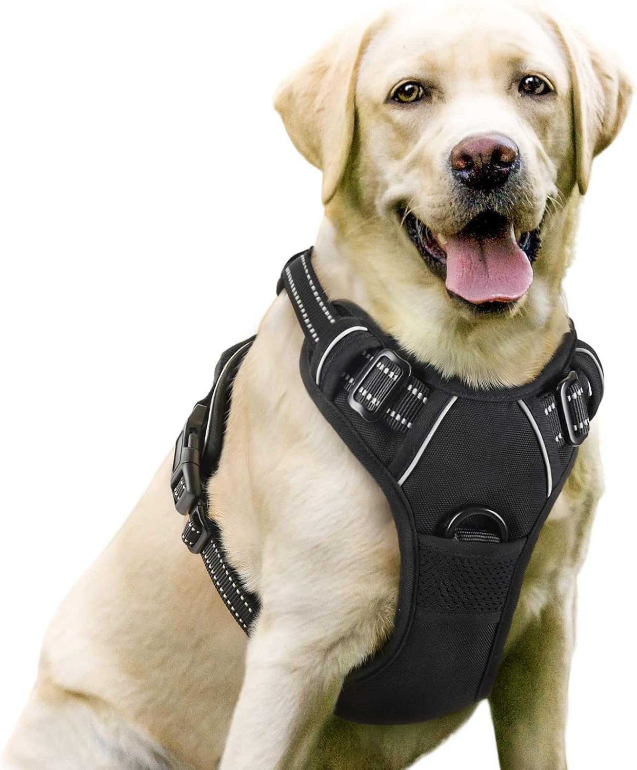 LOVE LOVE BELOVEDDog Harness, No Pull Pet Harness with 2 Leash Clips, Adjustable Soft Padded Pet Vest Harness, Reflective No-Choke with Easy Control Handle for Training or Walking, Black (S)