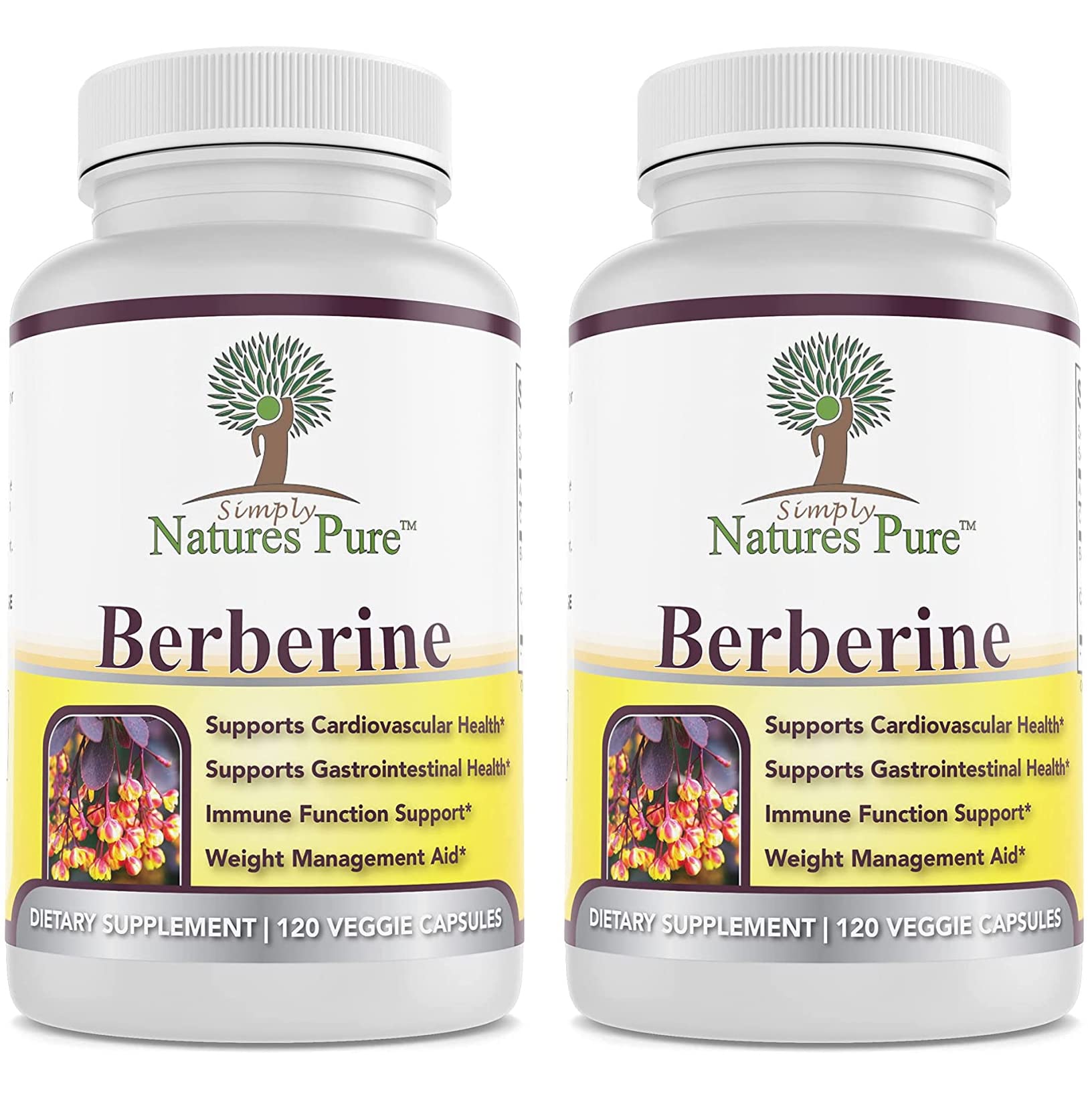 Simply Natures Pure Premium Berberine HCl 500mg - 120 Capsules - Cardiovascular Gastrointestinal Immune Support - Chromium Cinnamon (Pack of 2)