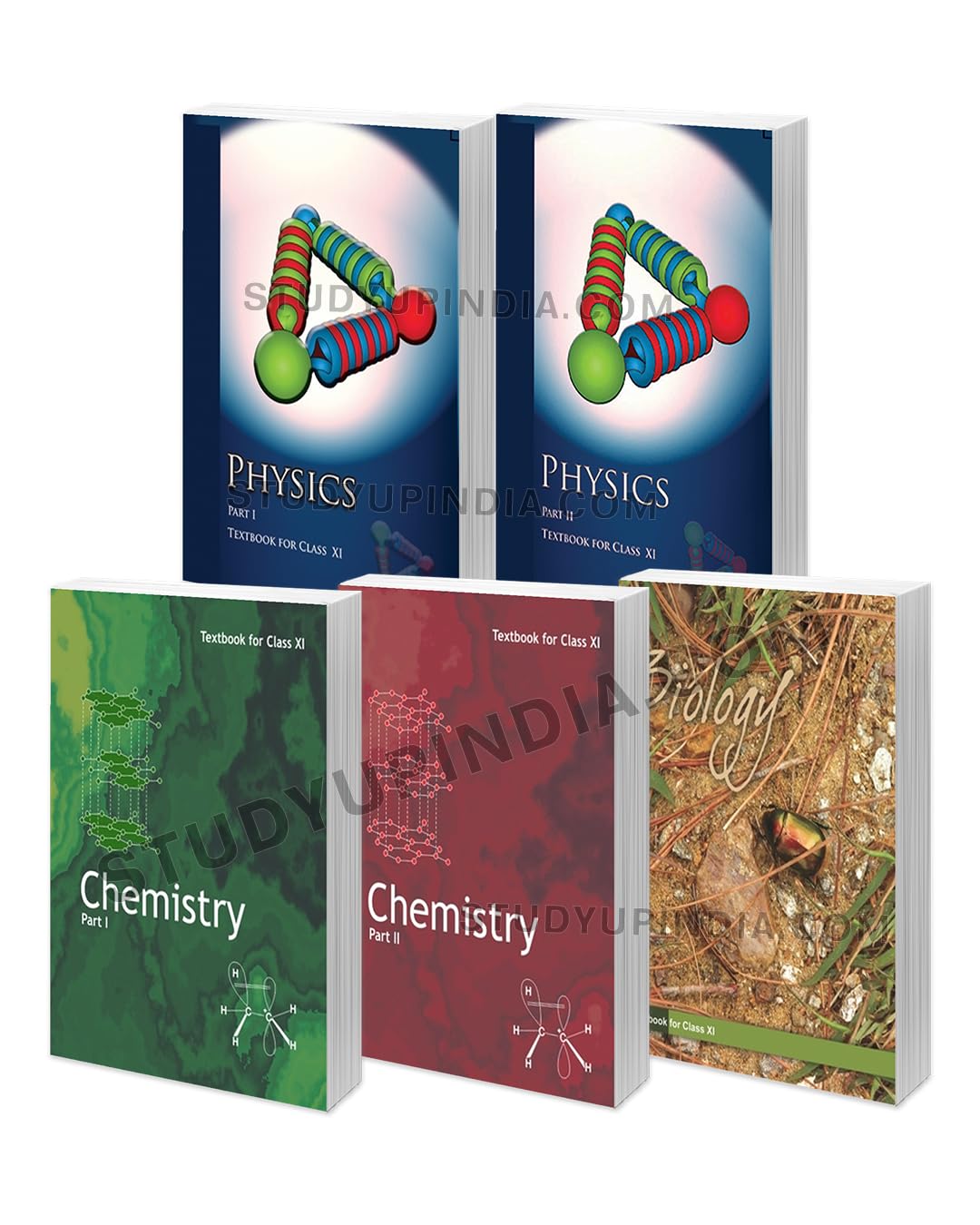 NCERT textbooks for Class XI Physics I & II, Chemistry I & II and Biology (Set of 5 Books) Product Bundle – Big Book