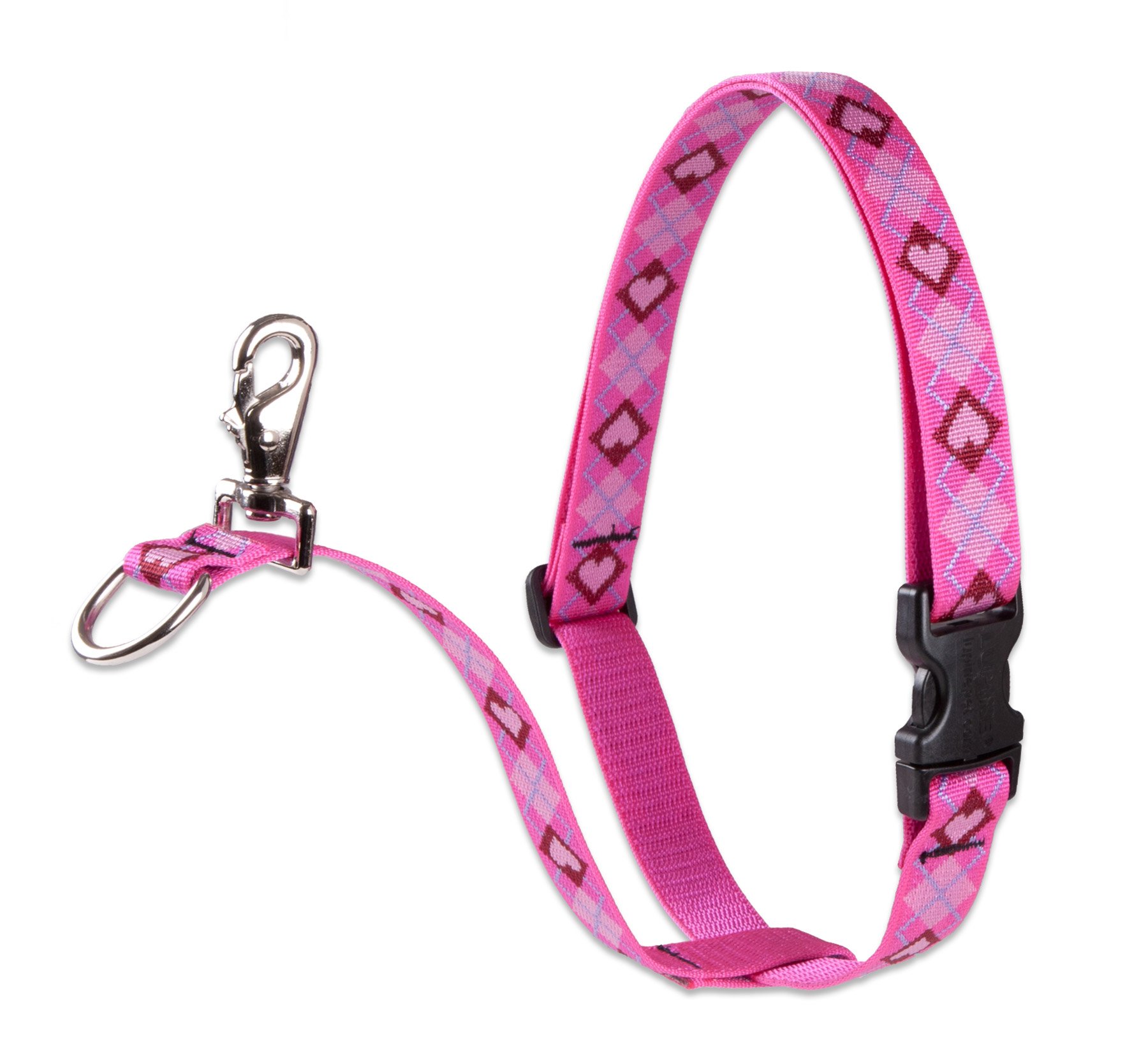 LupinePet Originals 3/4" Puppy Love 16-26" No Pull Harness for Small-Medium Dogs