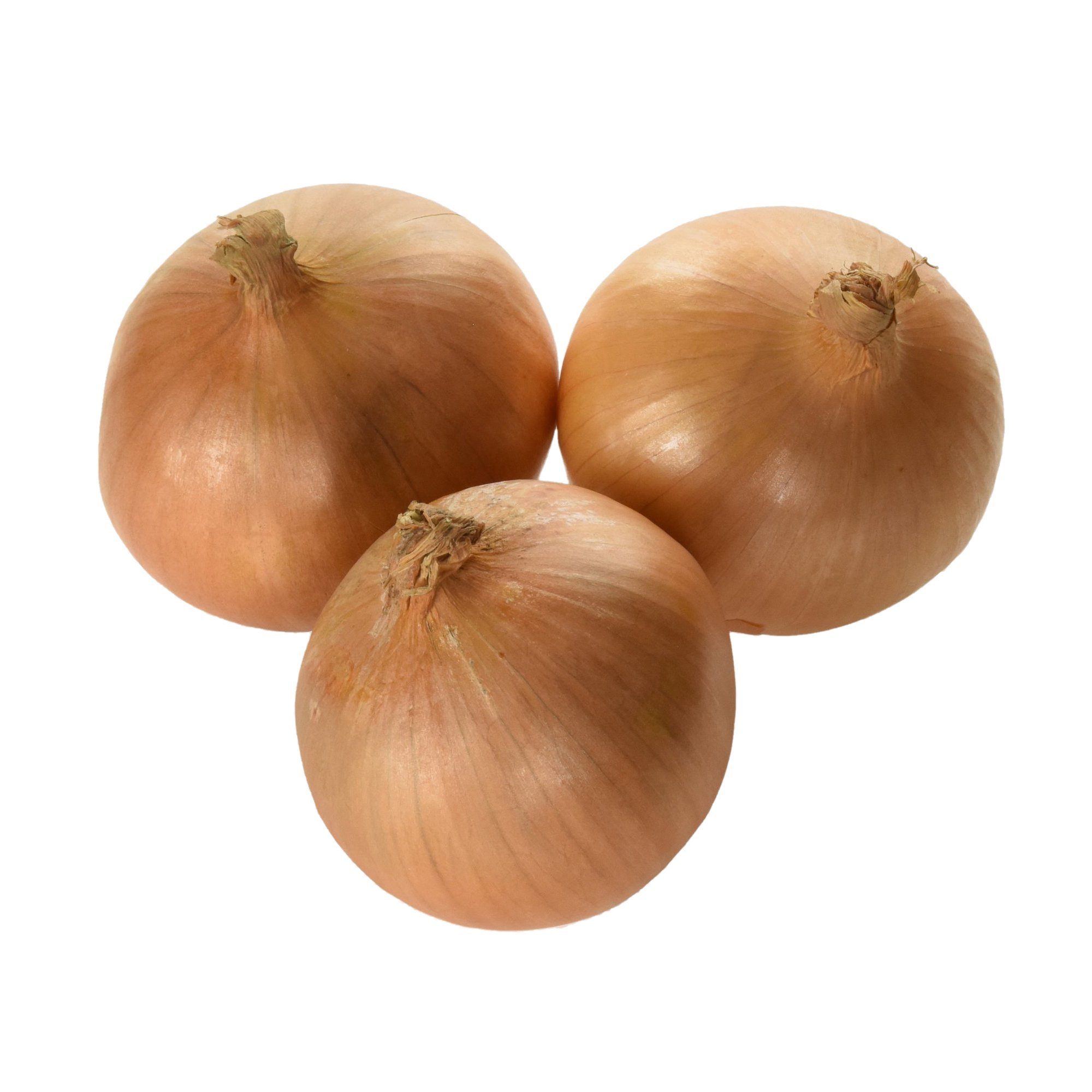 Farm Folk Large Brown Onion, Pack of 3