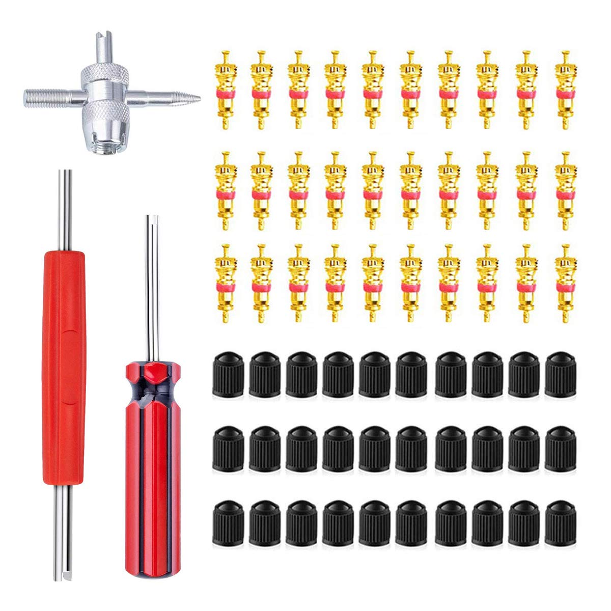 Terberl Valve Core Remover Tool with 30Pcs Tire Valve Cores,30Pcs Valve Stem Caps,4-Way Valve Tool Dual/Single Head Valve Core Remover Tire Repair Tool