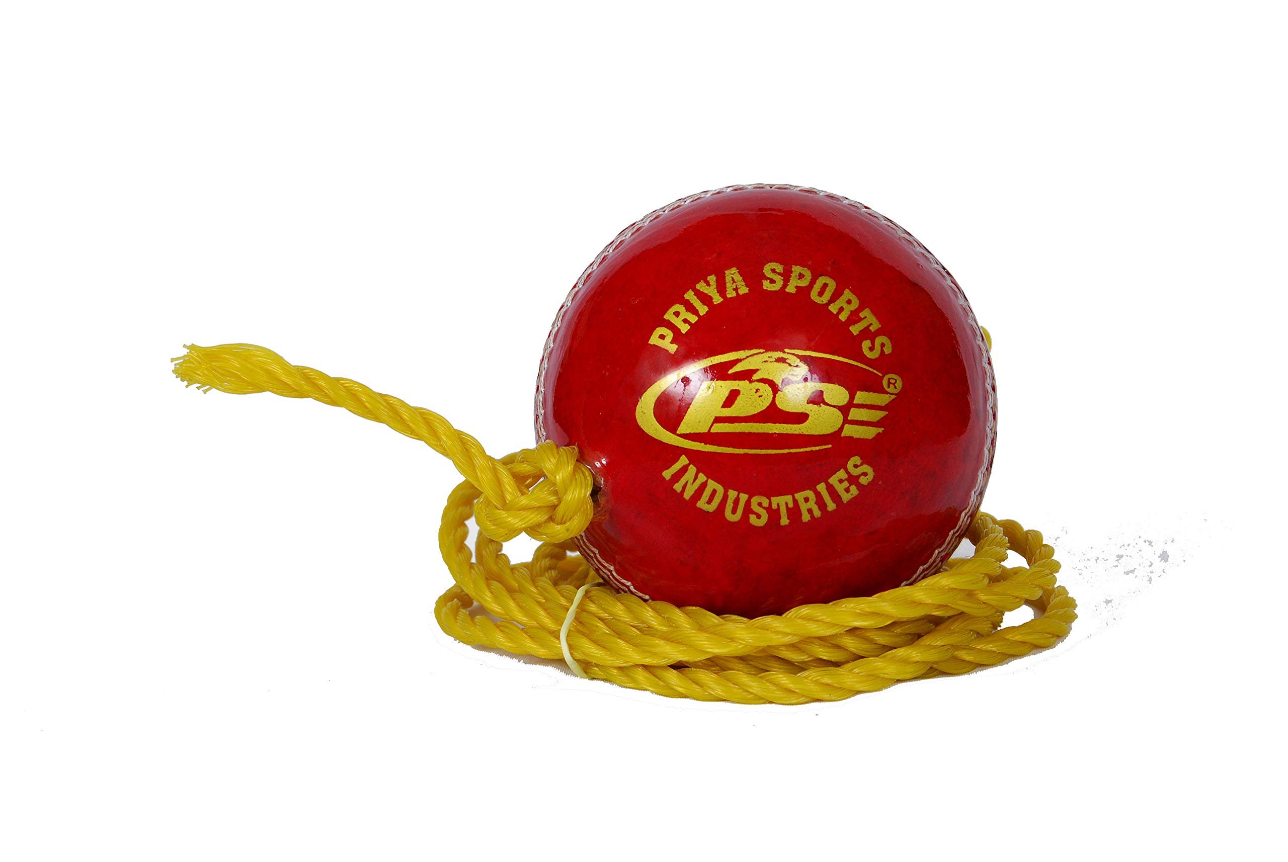 PSE Priya Sports Red Leather Hanging Ball