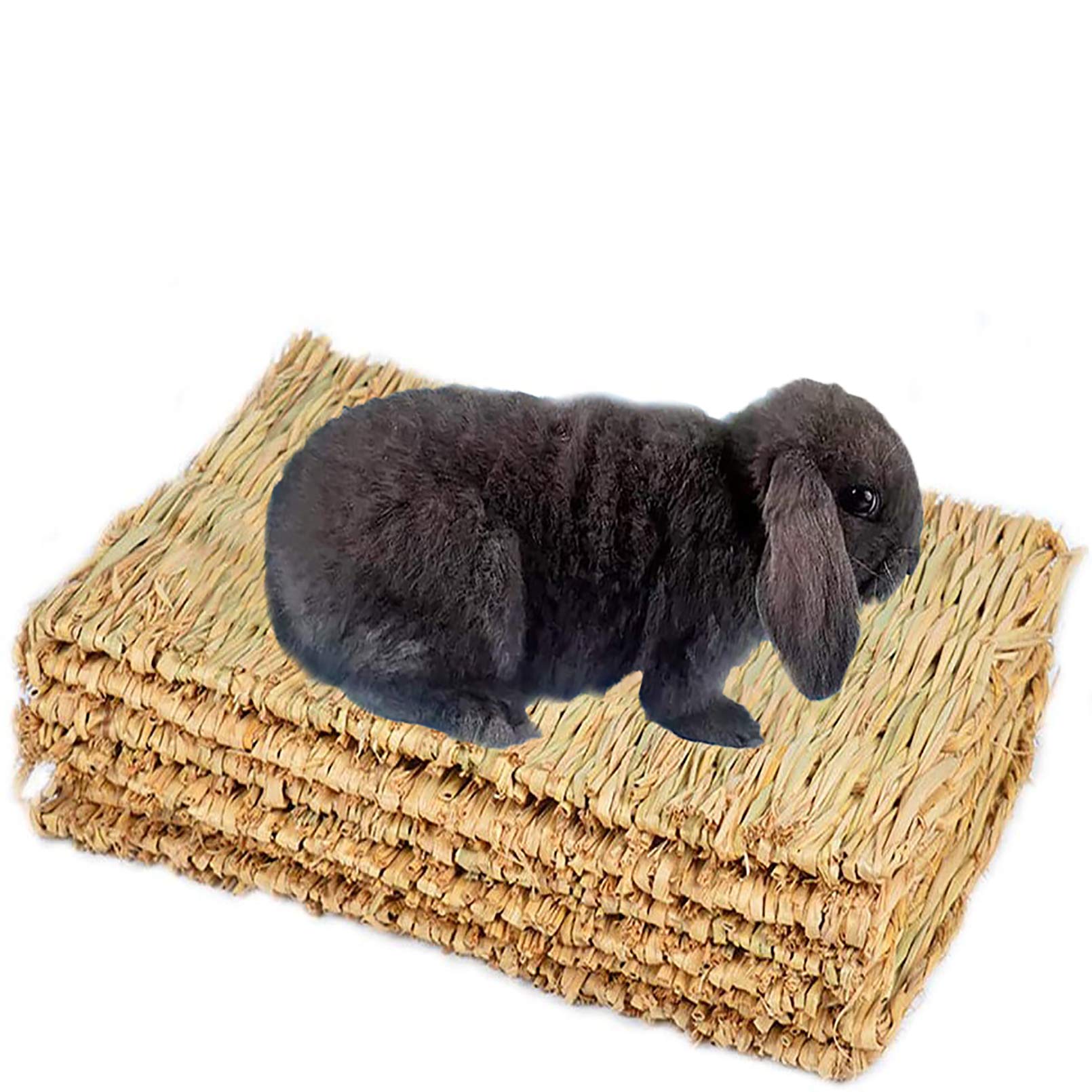 PINVNBY Natural Grass Woven Mat Small Animal Bedding Nest Guinea Pig Chew Toy For Parrot Rabbit Bunny Hamster Rat 6 PCS