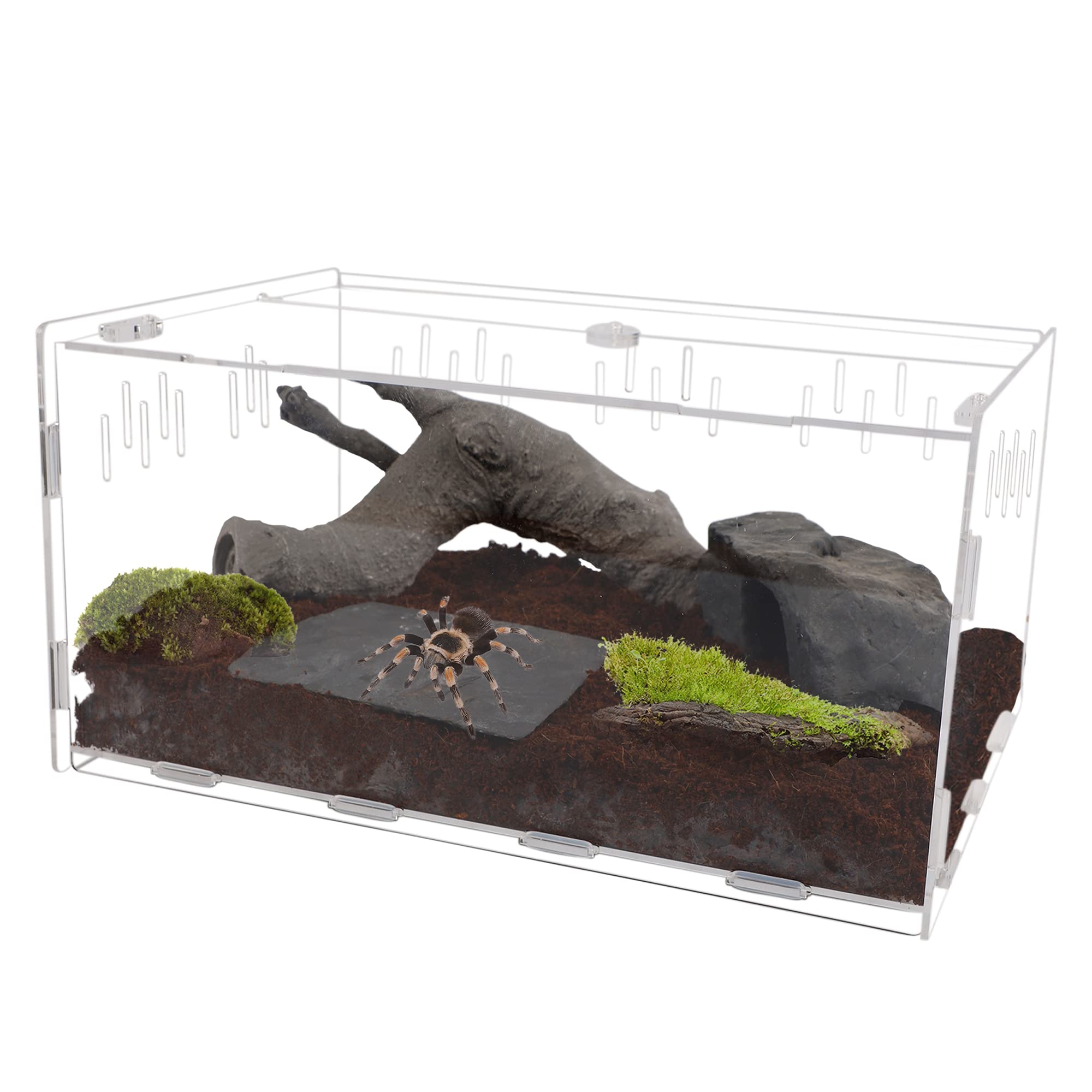 winemanaReptile Terrarium, Tarantula Enclosure, 16" x 11" x 6" Acrylic Large Feeding Tarantula Habitat Box for Small Animals Insect Home Office