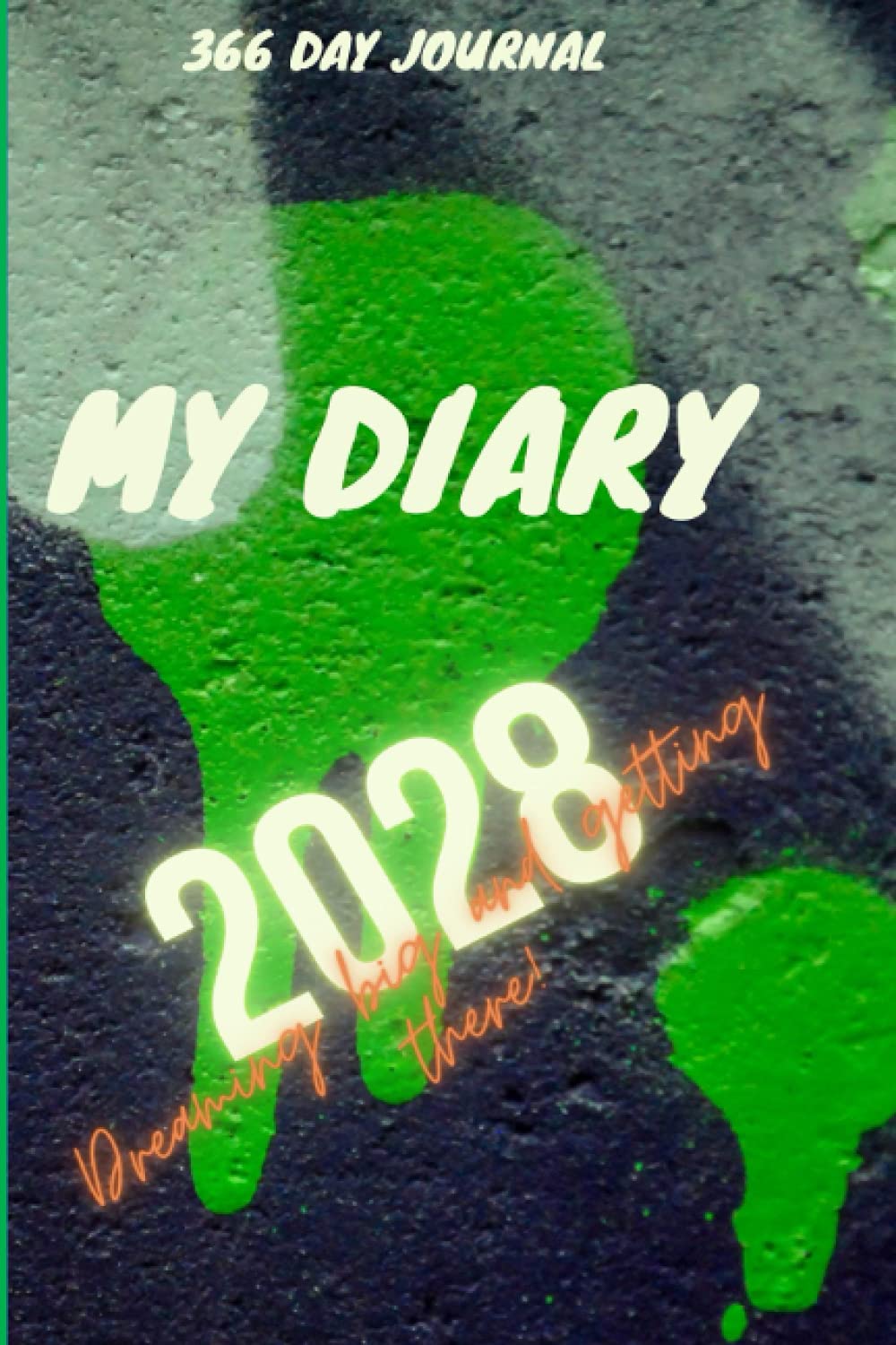 2028 DIARY: SERIES: “Dreaming big and getting there!”