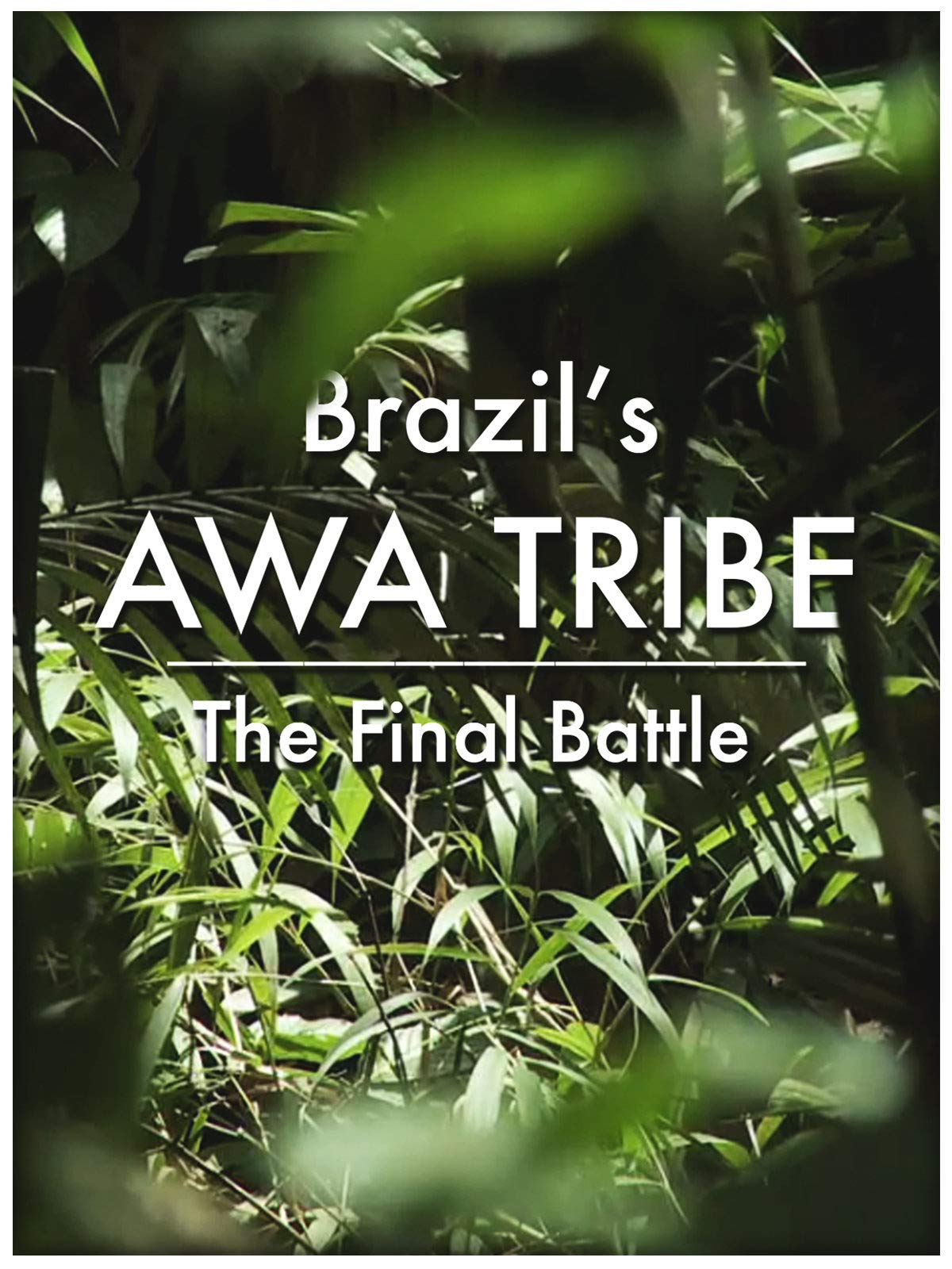 Brazil's Awa Tribe: The Final Battle