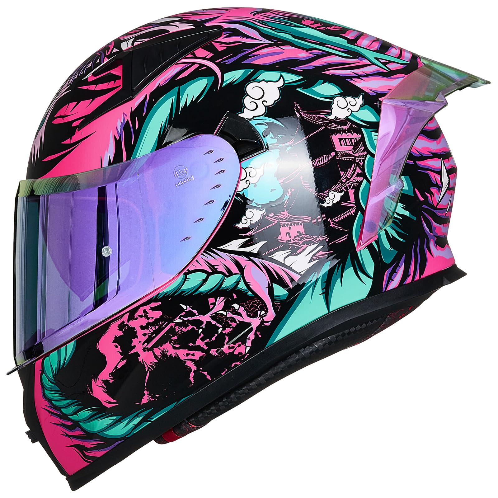 ILMFull Face Motorcycle Helmet Man Woman-Motorcycle Helmet with 2 Visors Pinlock-Compatible Clear and Tinted-Street Bike Motocross Casco ECE Model Z501