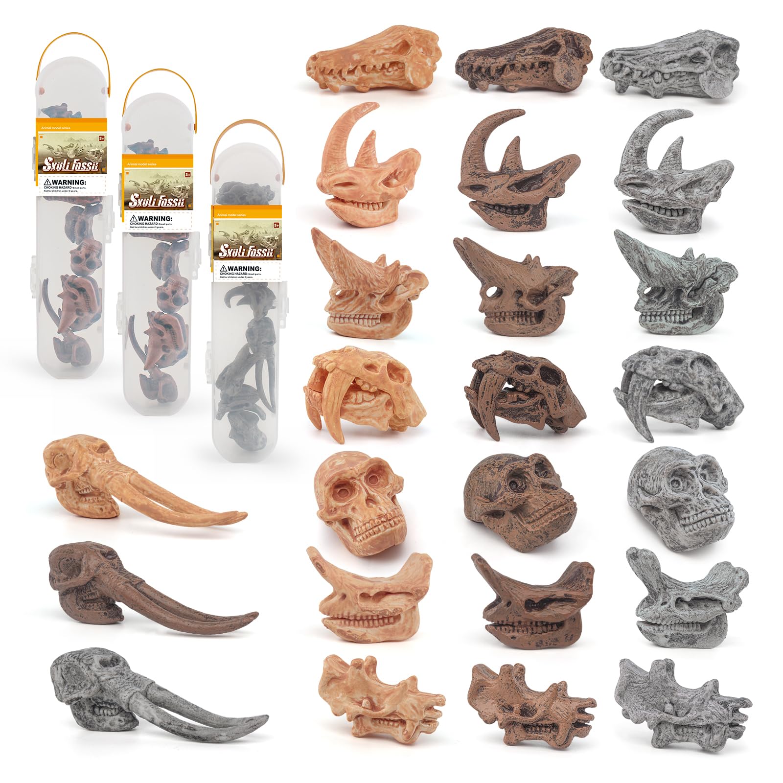 Fantarea Ancient Animal Prehistoric Animal Head Skeleton Fossil Assorted Bones Playsets 24 PCS Action Figures Desktop Decoration Collection Party Favors Toys for Boys Girls Kids