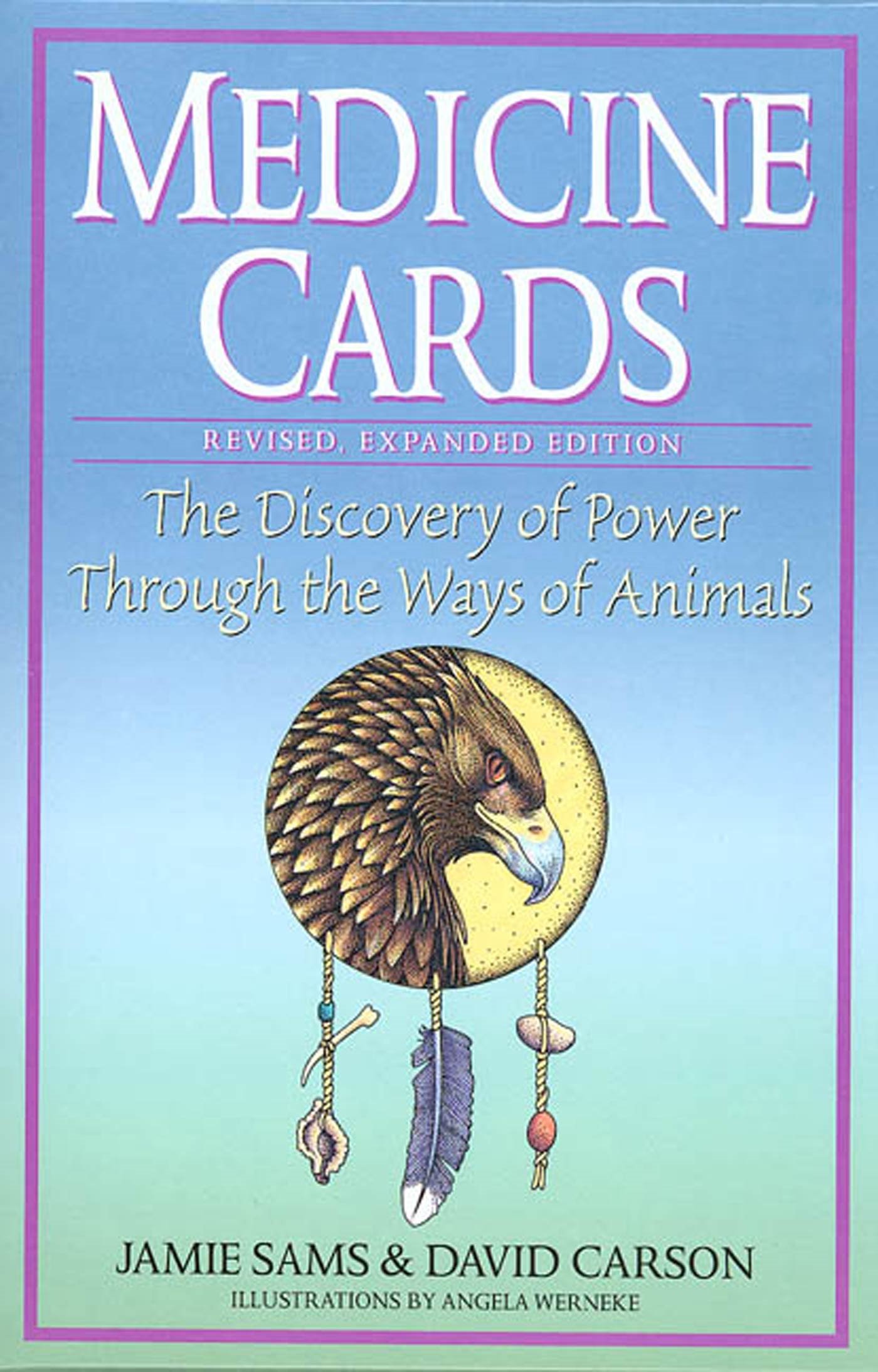 Medicine Cards: The Discovery of Power Through the Ways of Animals Paperback – 30 July 1999