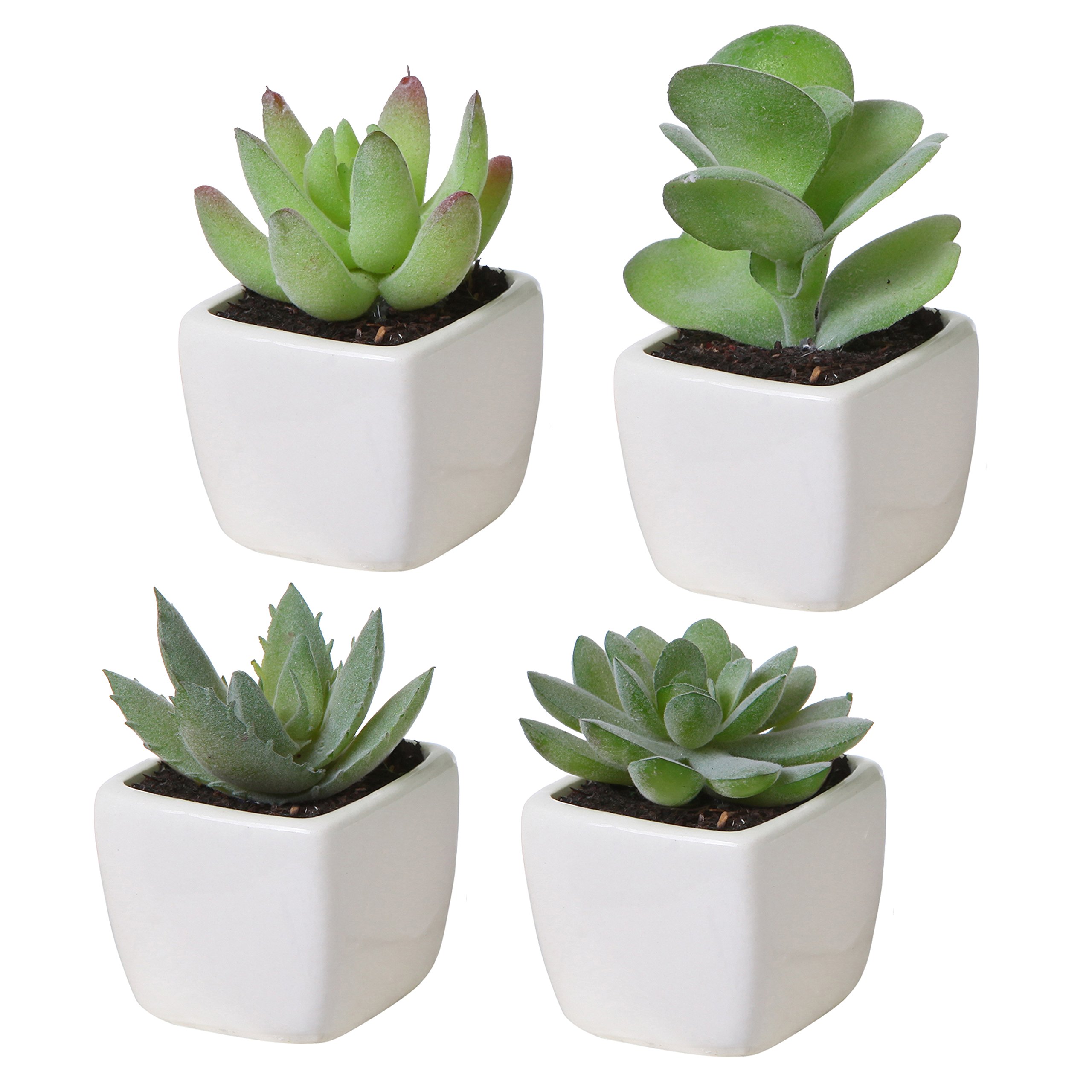 Buy MyGift Mini Assorted Artificial Succulent Fake Indoor House s in ...