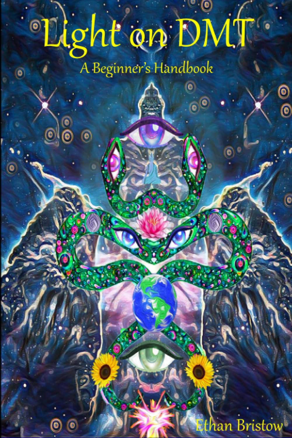 Light on DMT: A Beginner's Handbook