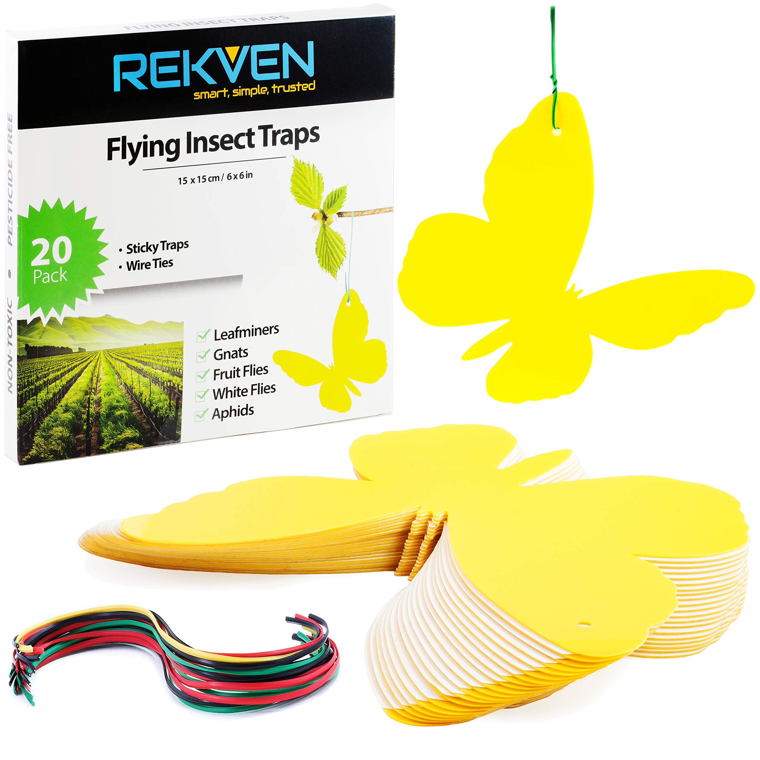 REKVEN - Large Sticky Fly Traps, 20 Pack, for Fruit Fly, Fungus Gnat, WhiteFly and Other Flying Insects