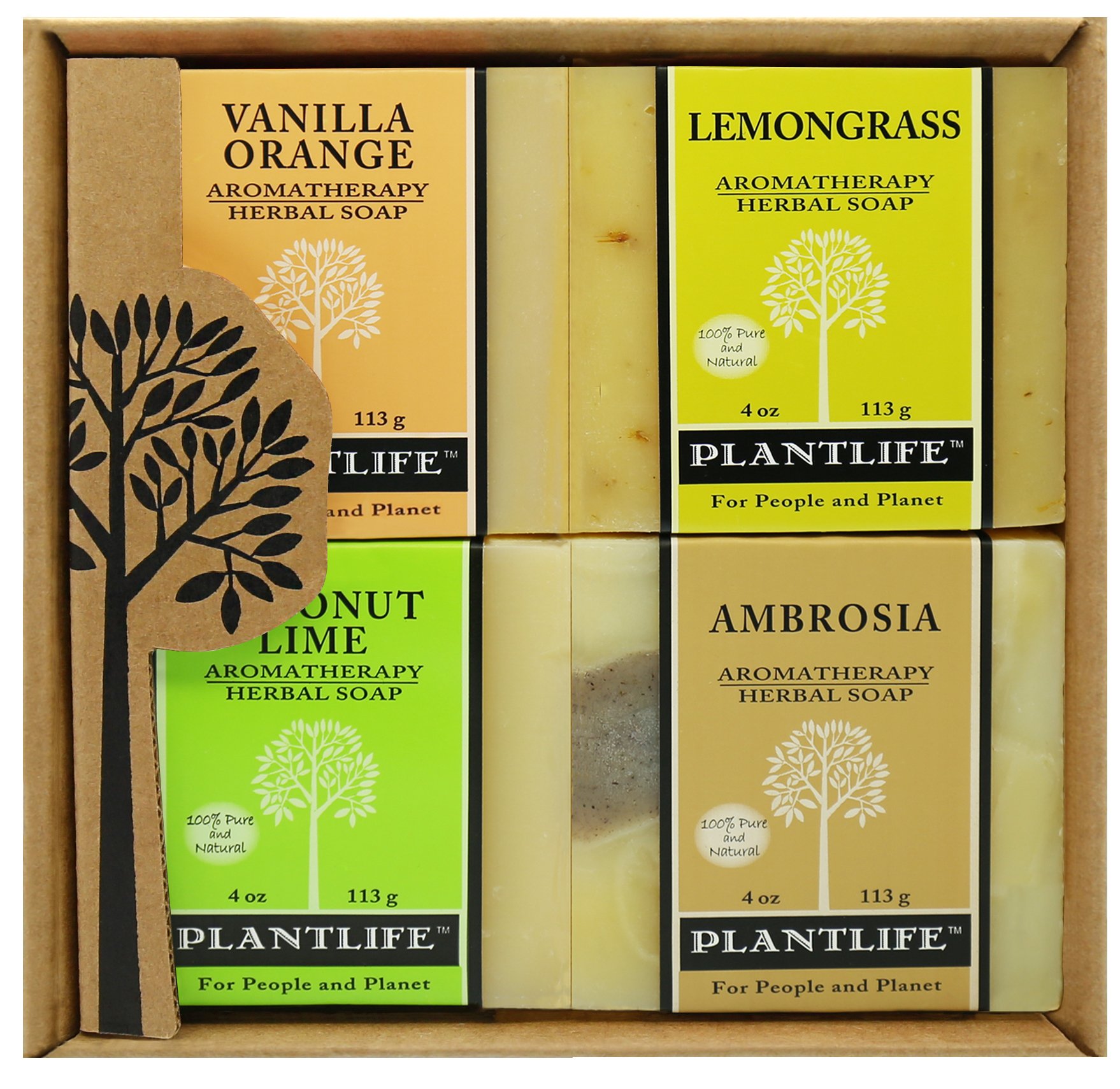 Plantlife Fruit Set 4-pack (Vanilla Orange, Lemongrass, Coconut Lime, and Ambrosia) Bar Soap - Moisturizing and Soothing Soap for Your Skin - Hand Crafted Using Plant-Based Ingredients - Made in California 4oz Bar