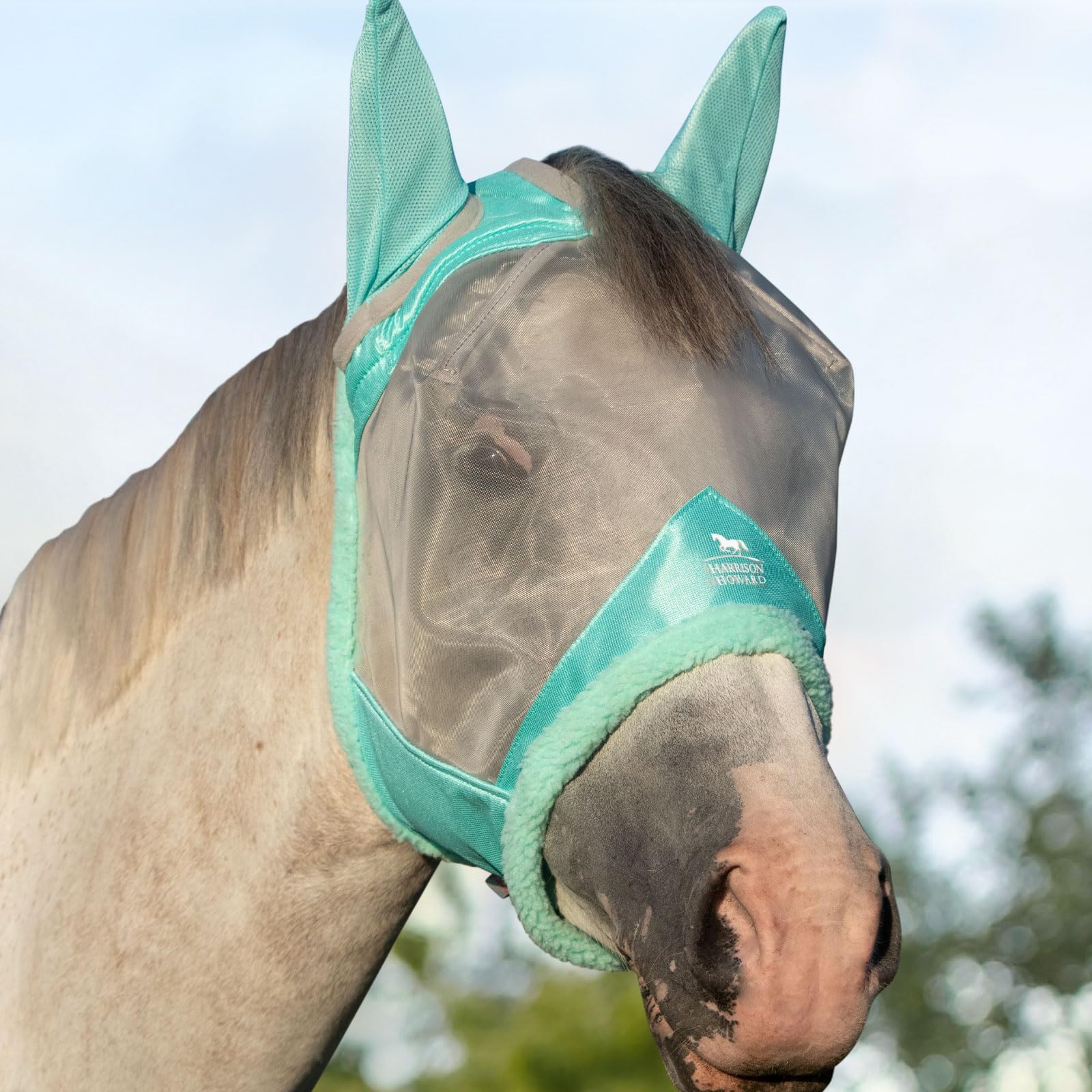 Harrison HowardCareMaster Horse Fly Mask UV Protective Fine Mesh with Extra Wool Soft Touch on Skin Summer Mint L