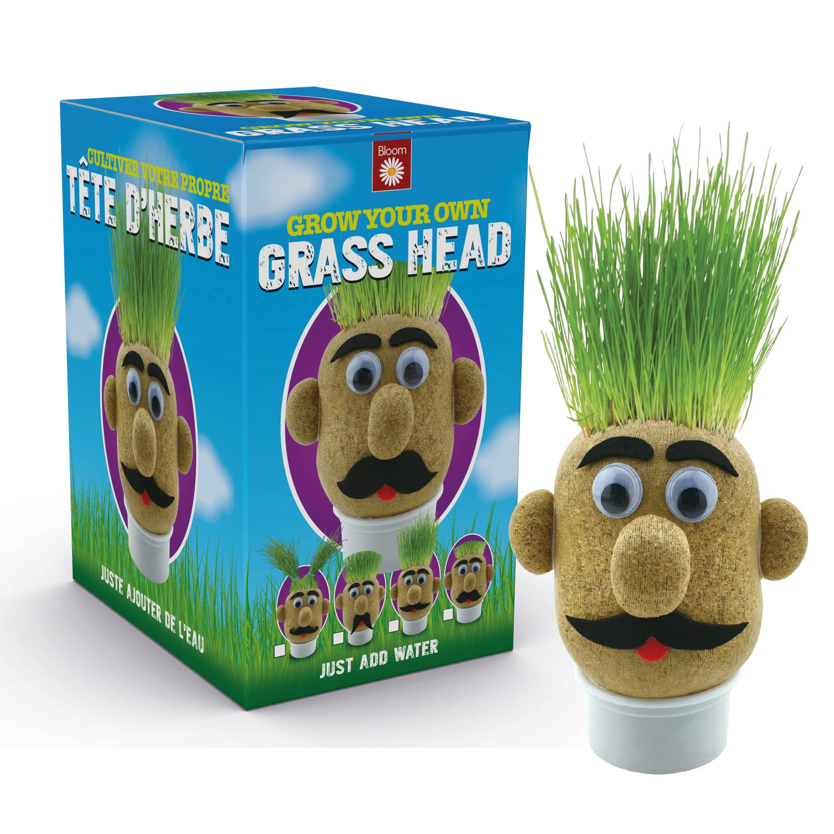 Funtime GiftsGrasshead Novelty Grow Your Own Grass Head, Green