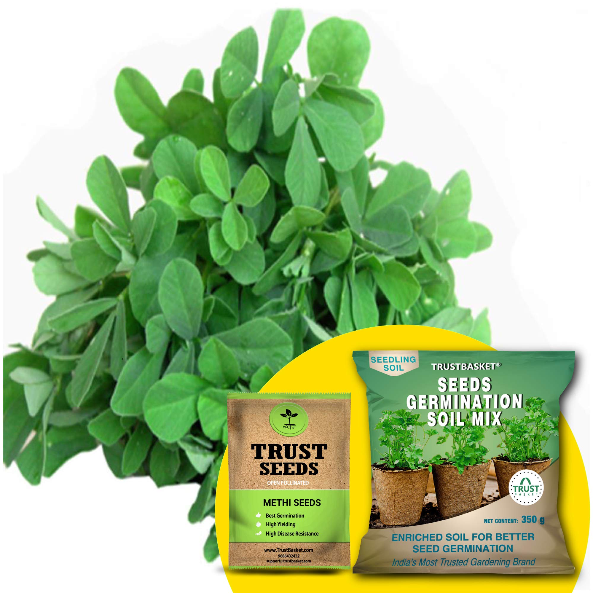 TrustBasket® Methi (OP/Desi) Seeds with Free Germination Potting Soil Mix