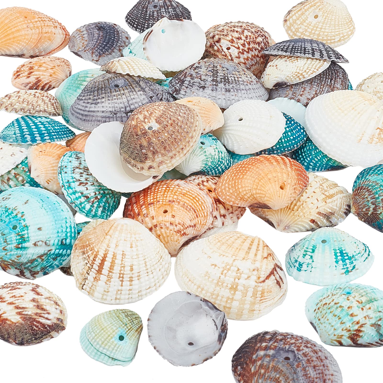 PH PandaHallAbout 55pcs Dyed Natural Conch Shell Beads Drilled Tiny Scallop Sea Shells Ocean Beach Seashells Craft Charms for Christmas Tree Hanging Decoration Party Garland Wedding Decor