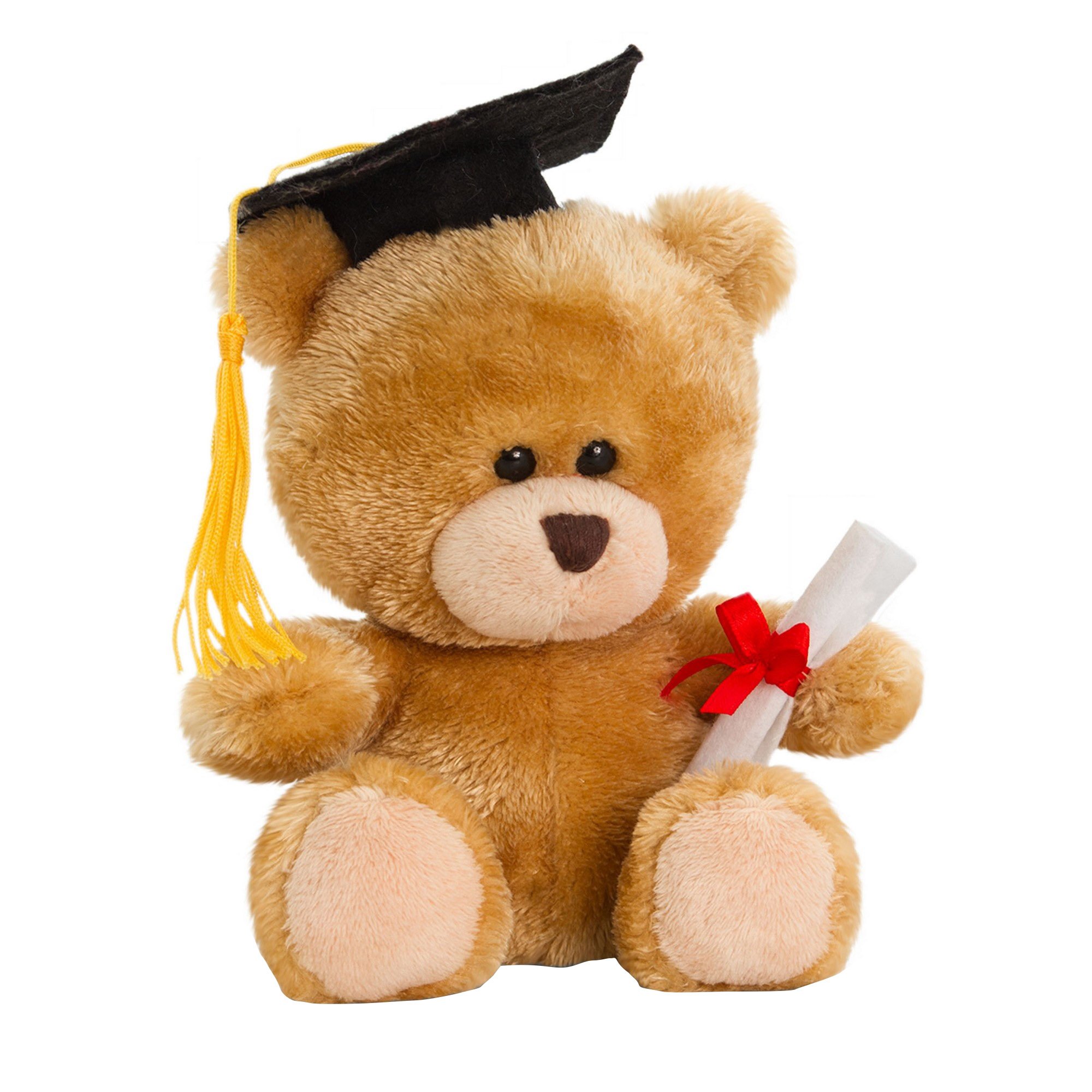 Keel Toys SB0304 14cm Pipp The Bear Graduation, Multi-Colour