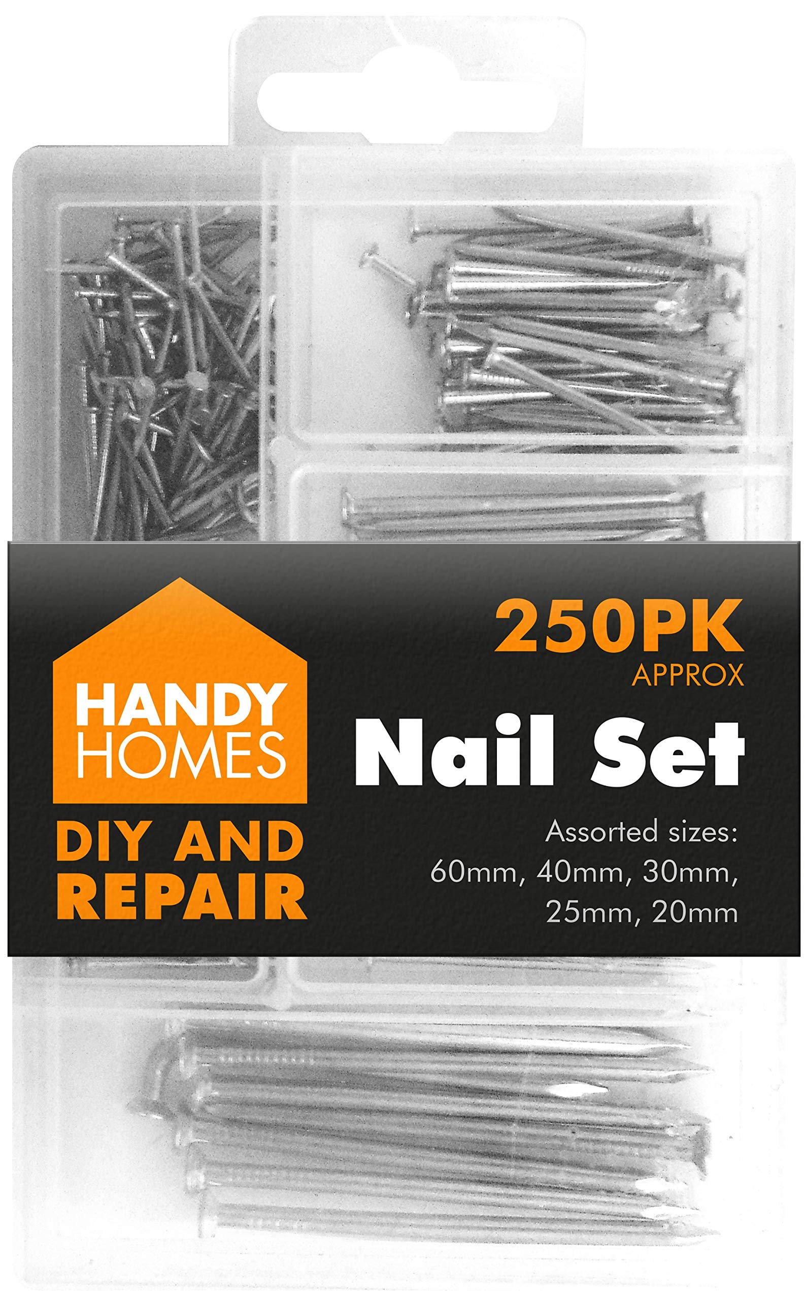 250pk Hardware Assorted Nails Set